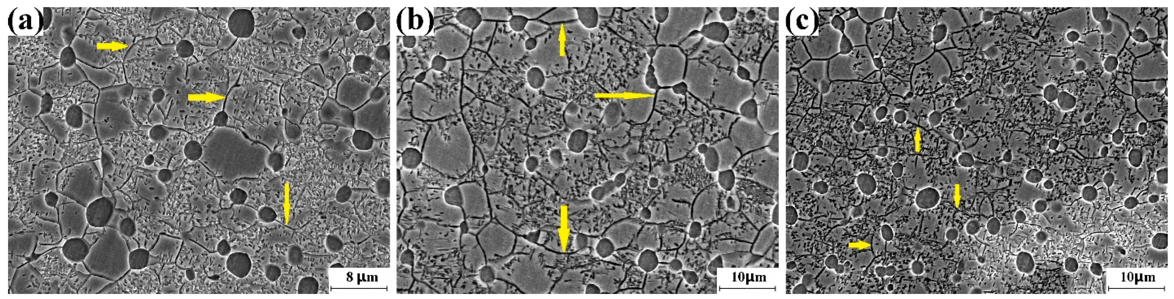 Materials 16 01692 g009 Materials 16 01692 g009