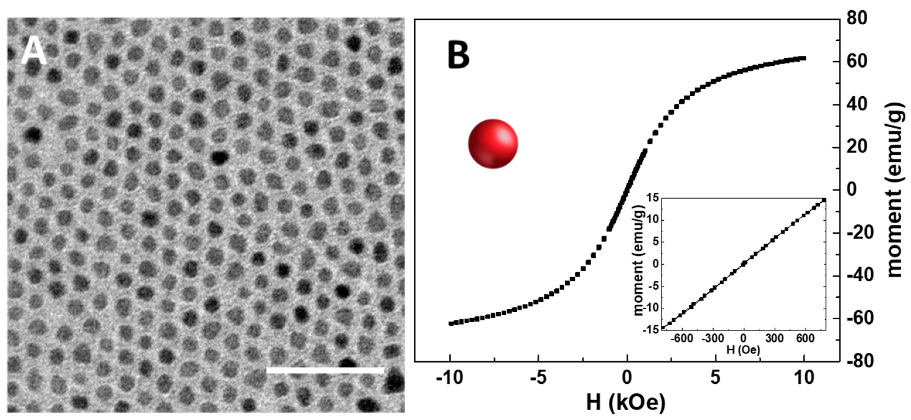 Materials 16 01697 g002