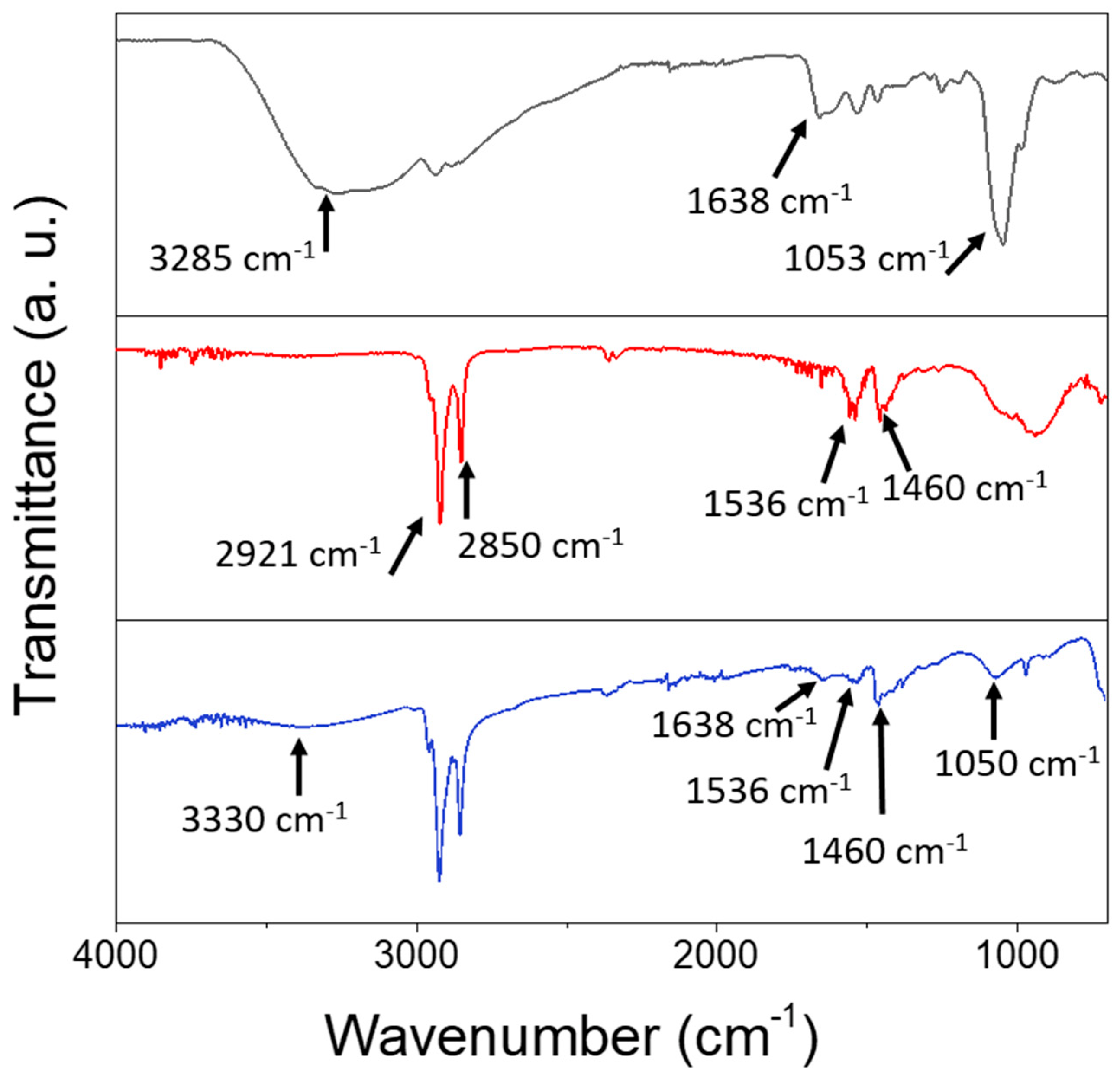 Materials 16 01697 g004