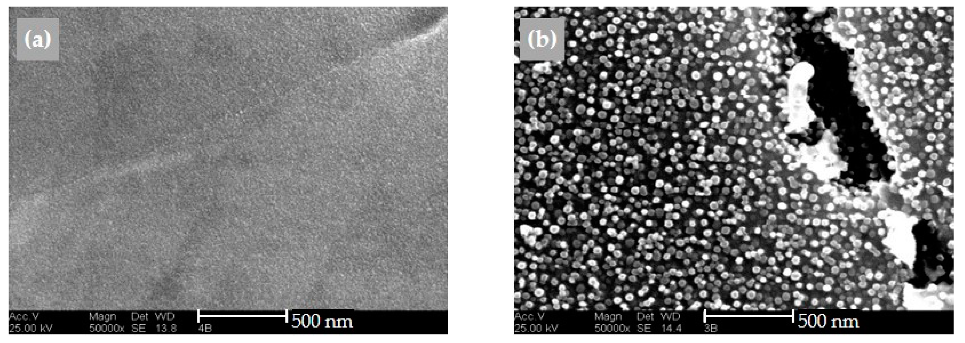 Materials 16 01715 g018 Materials 16 01715 g018