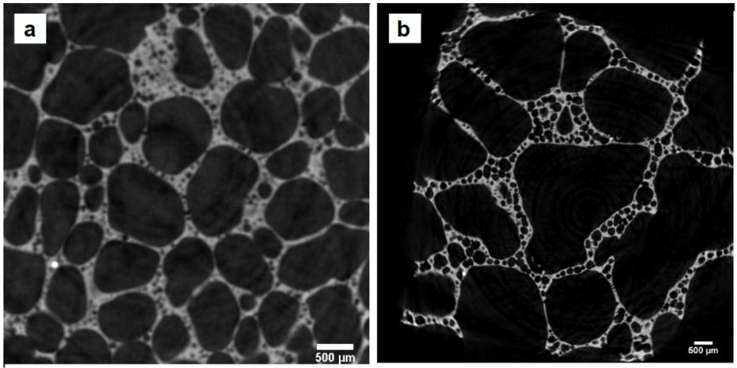 Materials 16 01721 g001 Materials 16 01721 g001