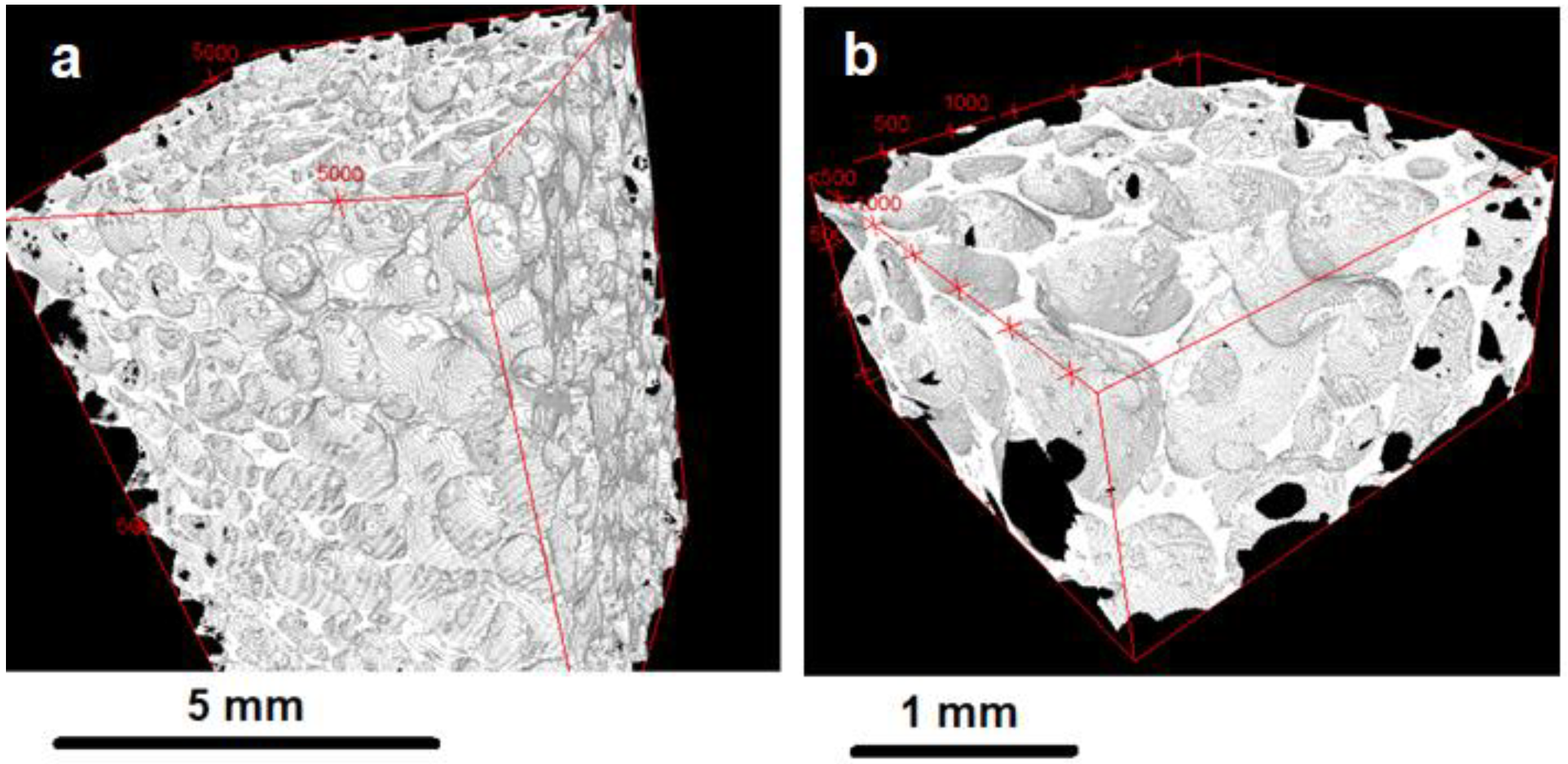 Materials 16 01721 g002 Materials 16 01721 g002