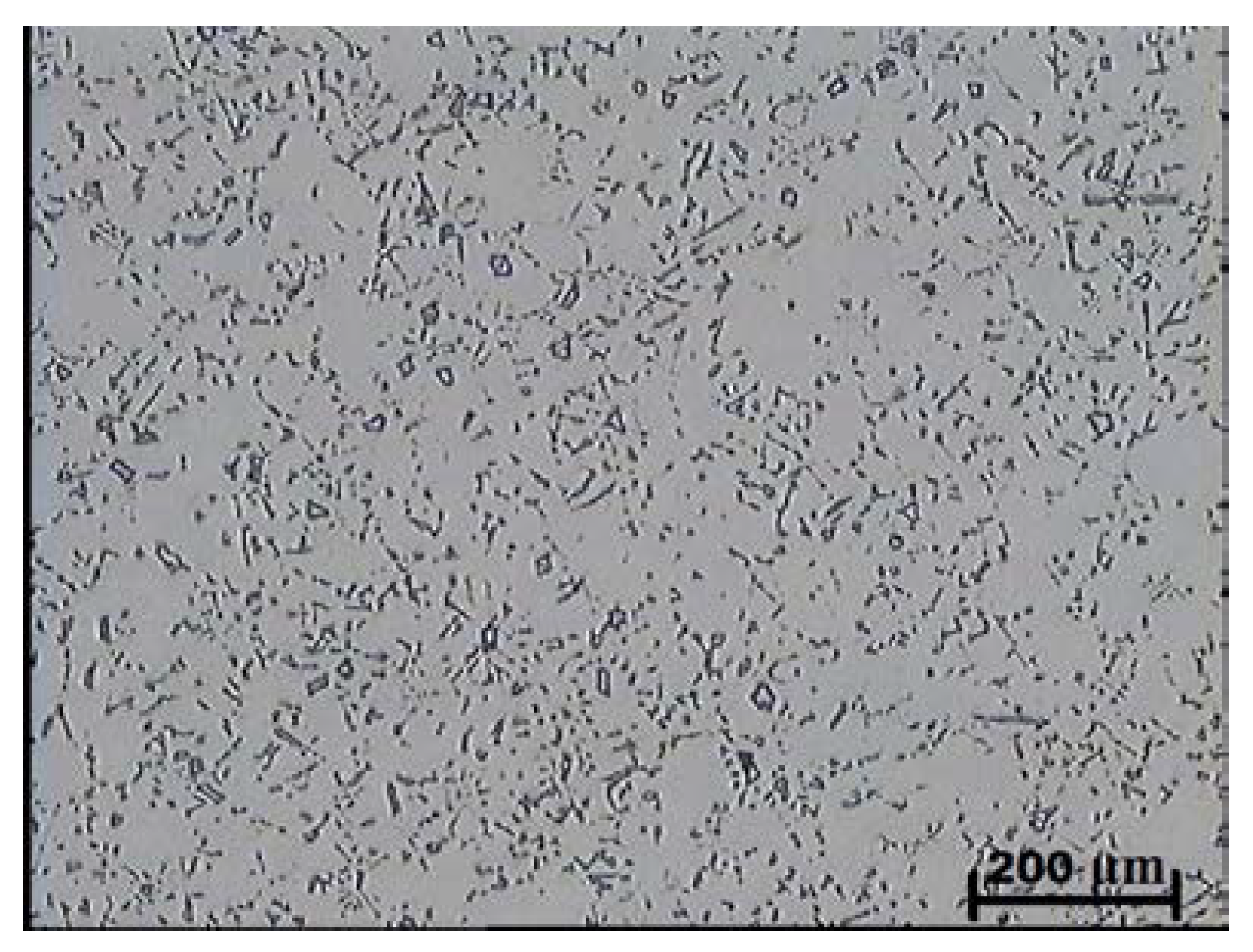 Materials 16 01726 g007 Materials 16 01726 g007