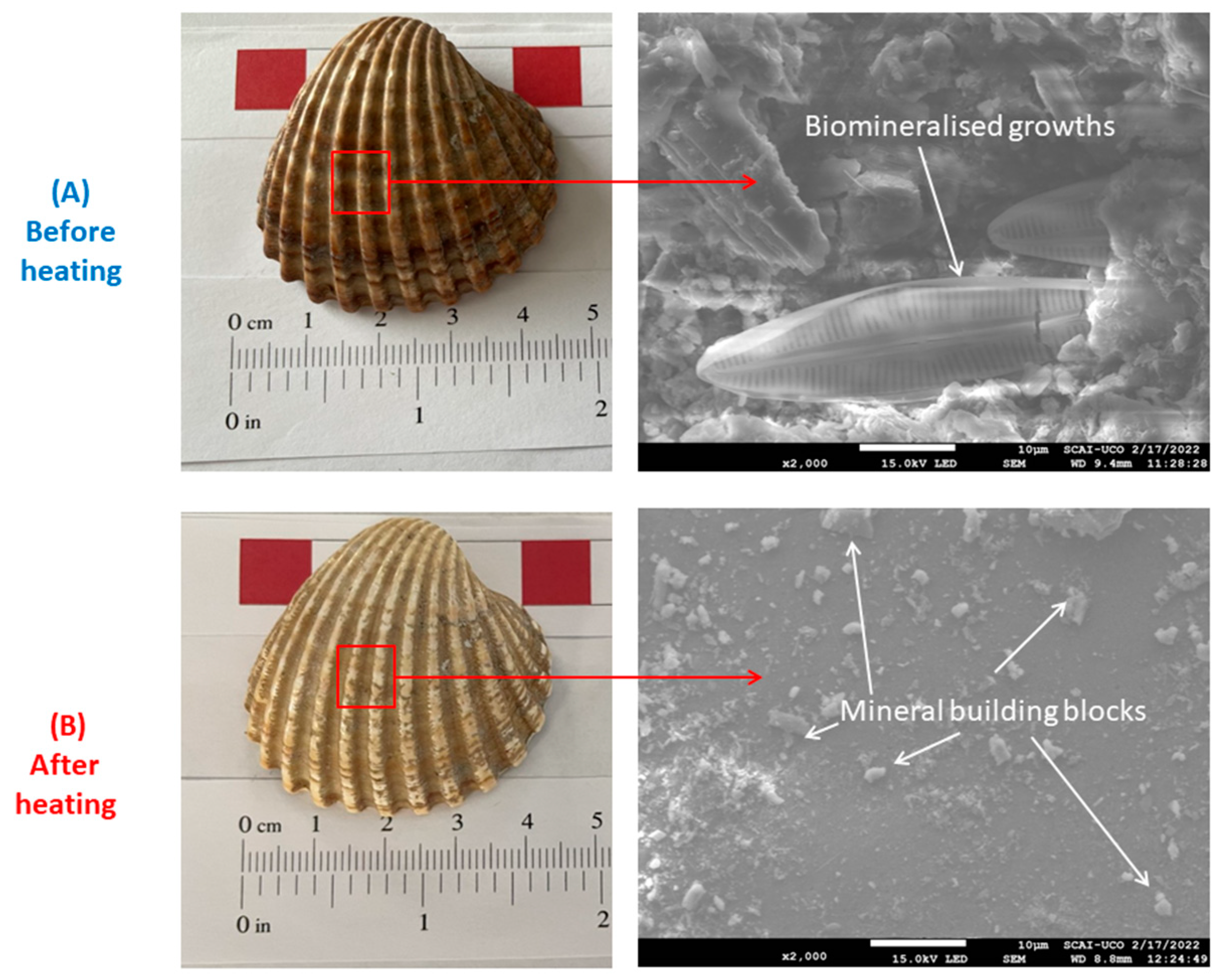 Materials 16 01734 g002 Materials 16 01734 g002