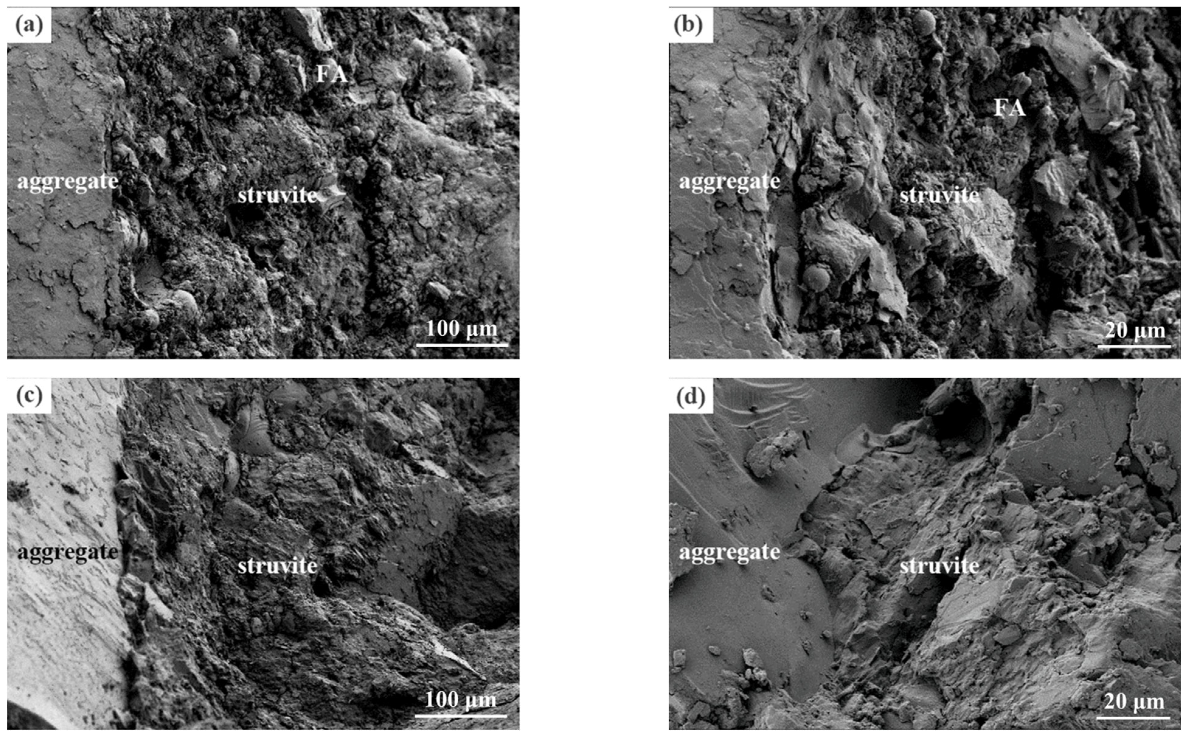 Materials 16 01760 g012 Materials 16 01760 g012