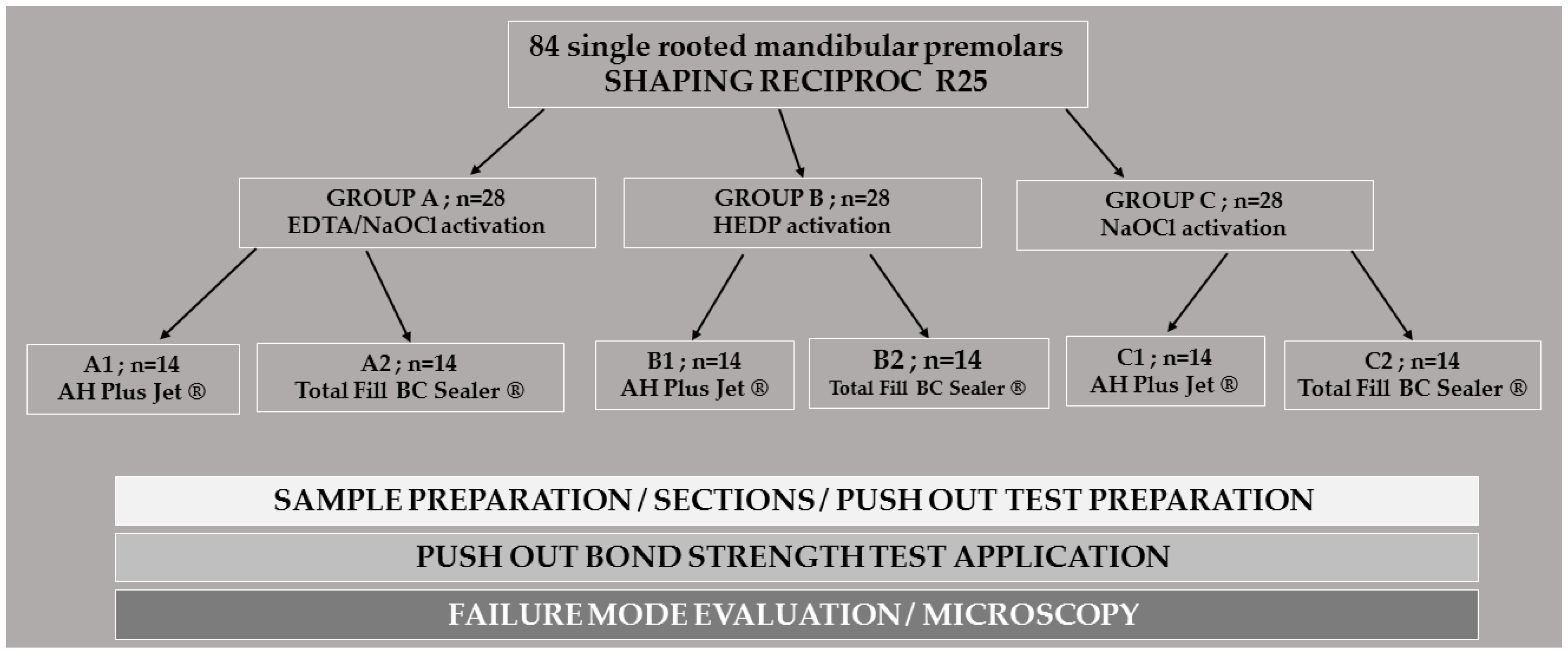 Materials 16 01761 g001
