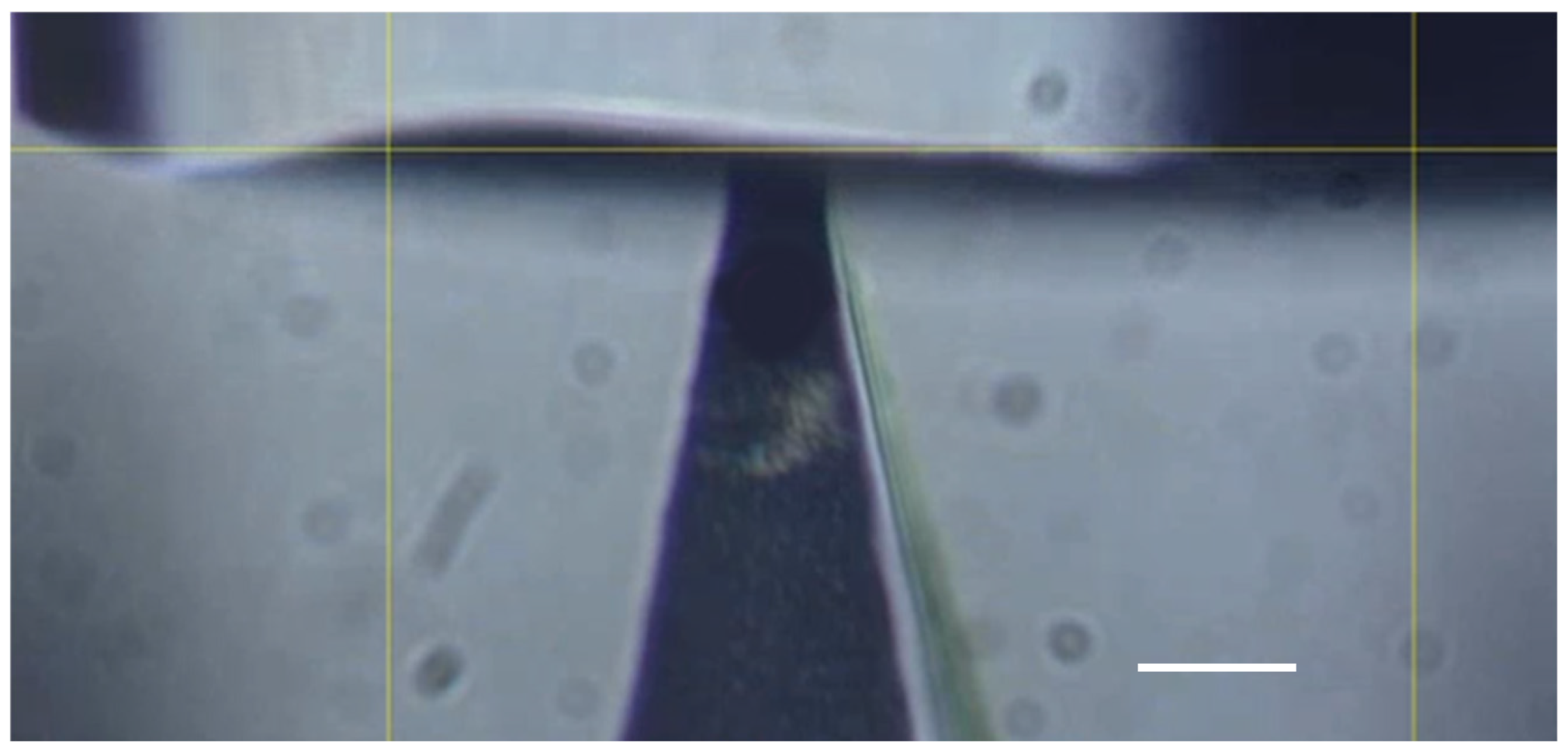 Materials 16 01769 g001