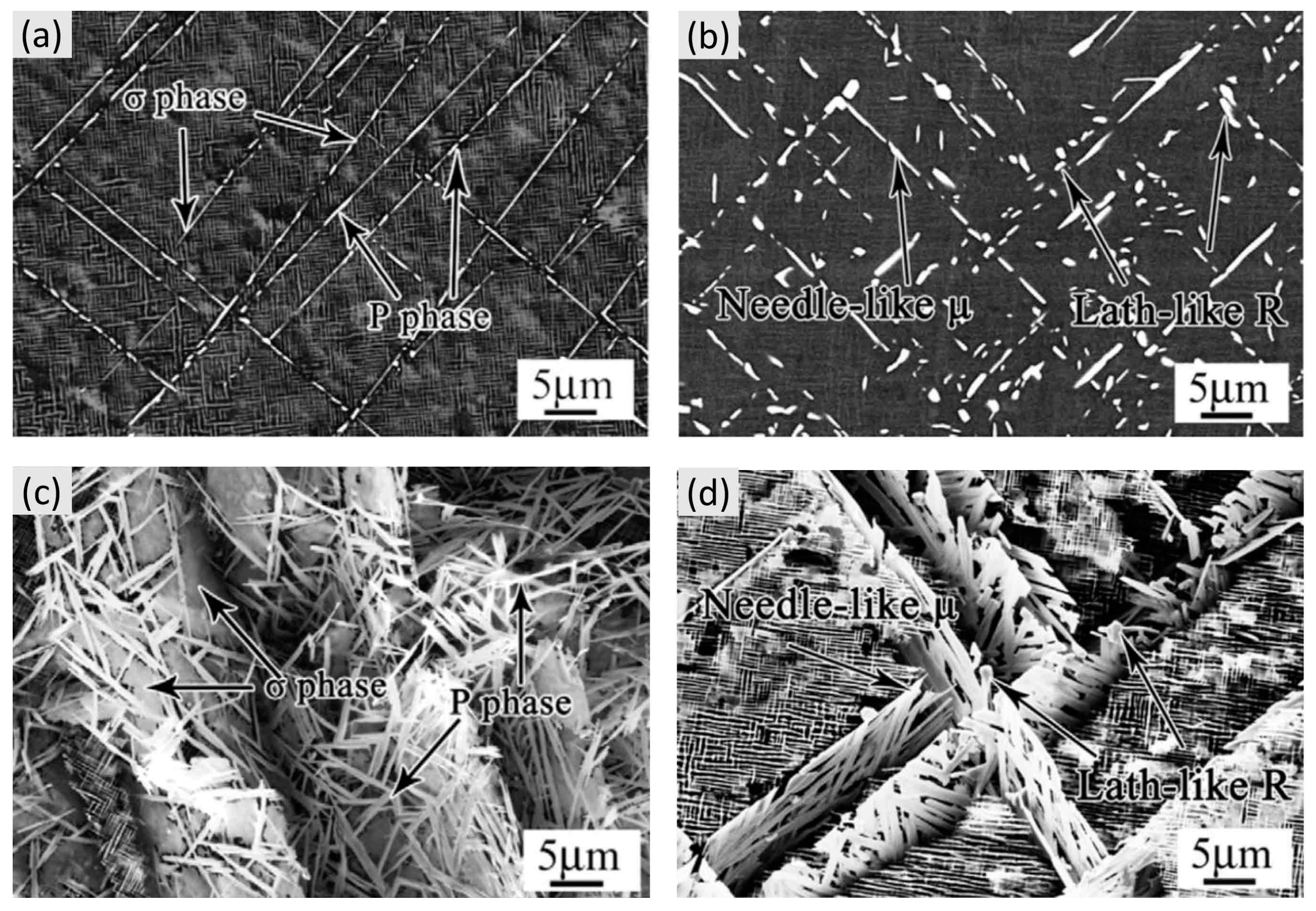 Materials 16 01787 g006 Materials 16 01787 g006