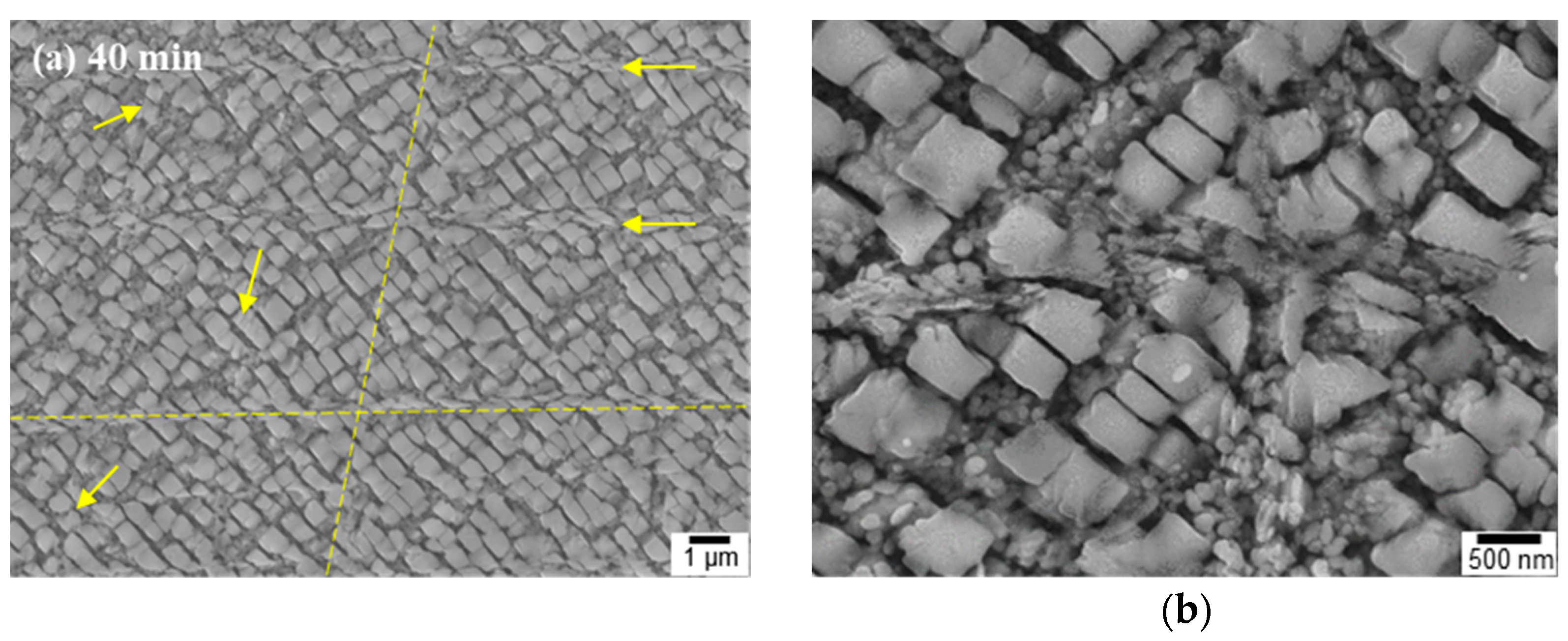 Materials 16 01802 g005a