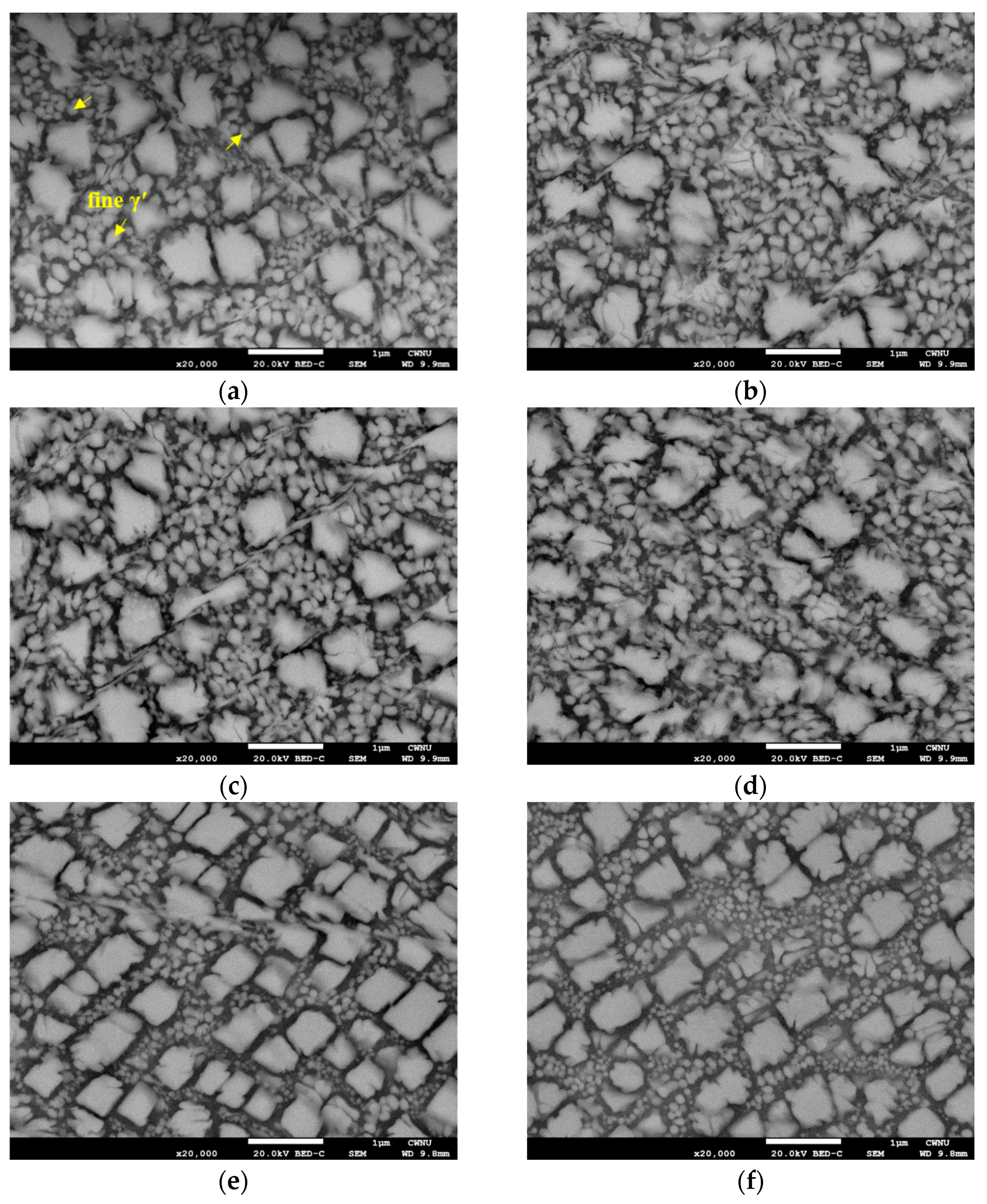 Materials 16 01802 g006
