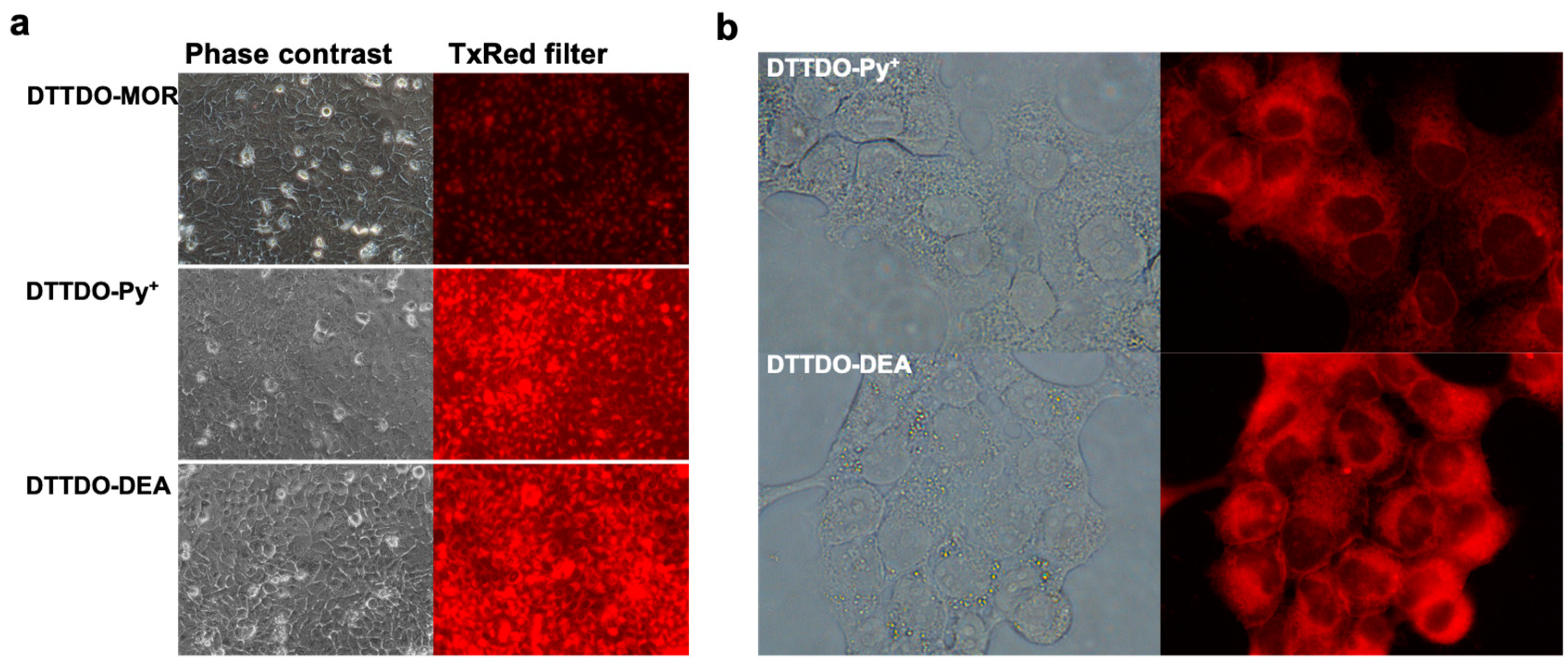 Materials 16 01806 g006