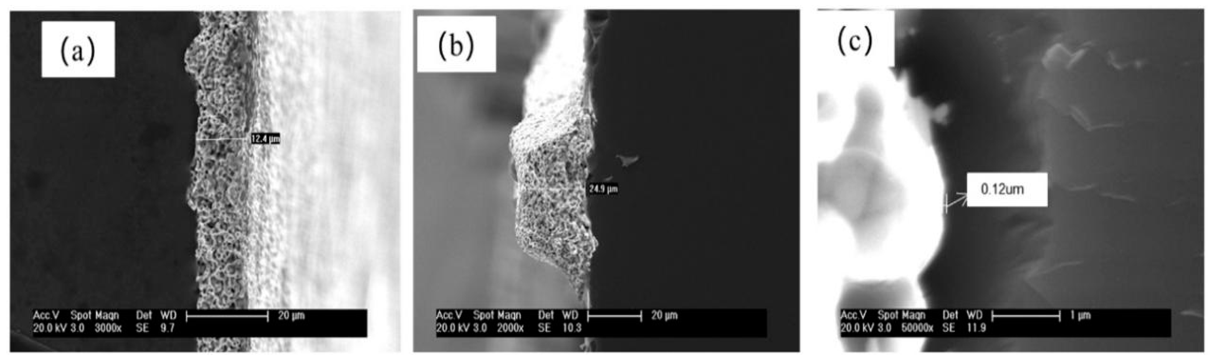 Materials 16 01824 g005 Materials 16 01824 g005