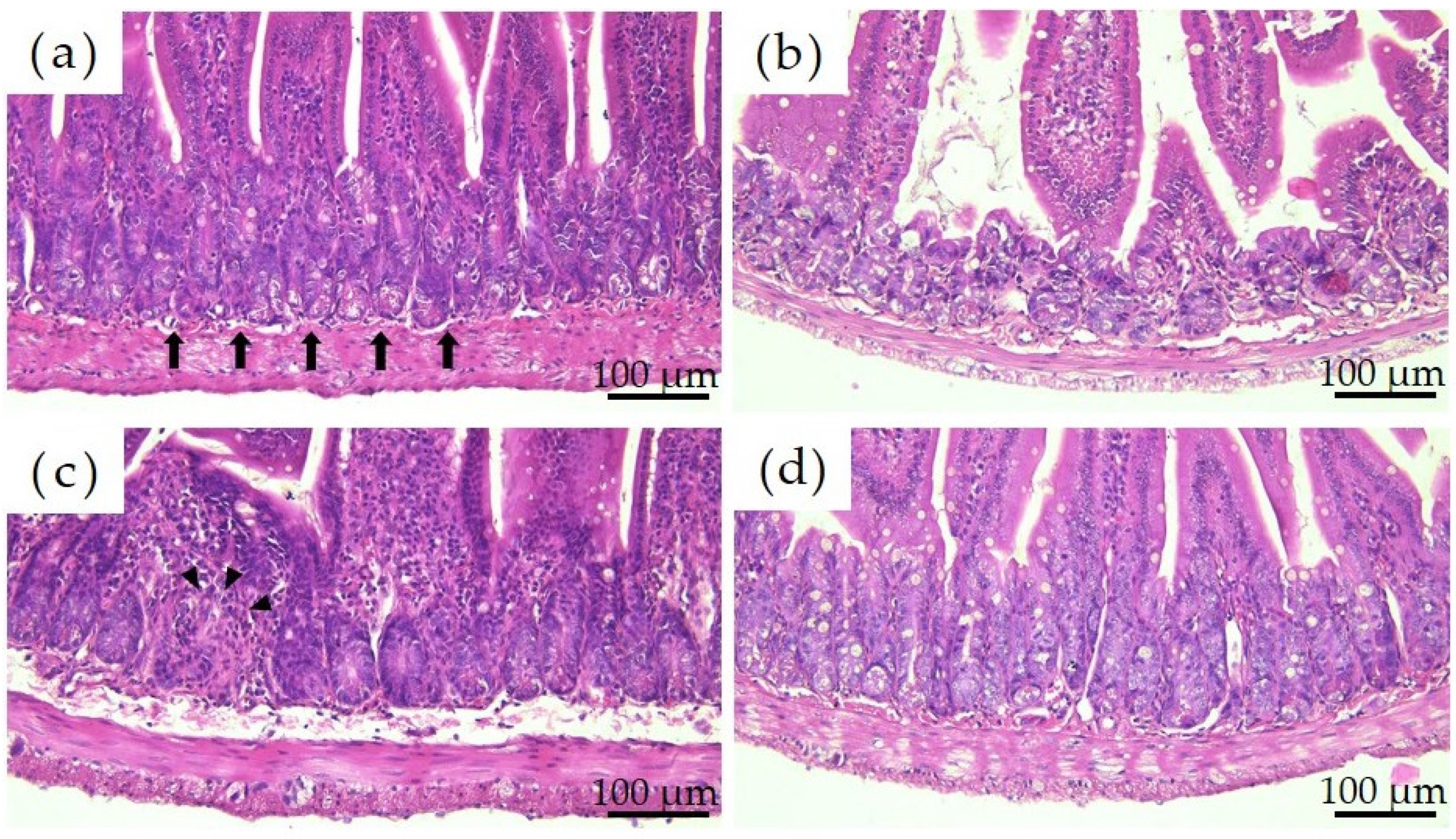Materials 16 01834 g003