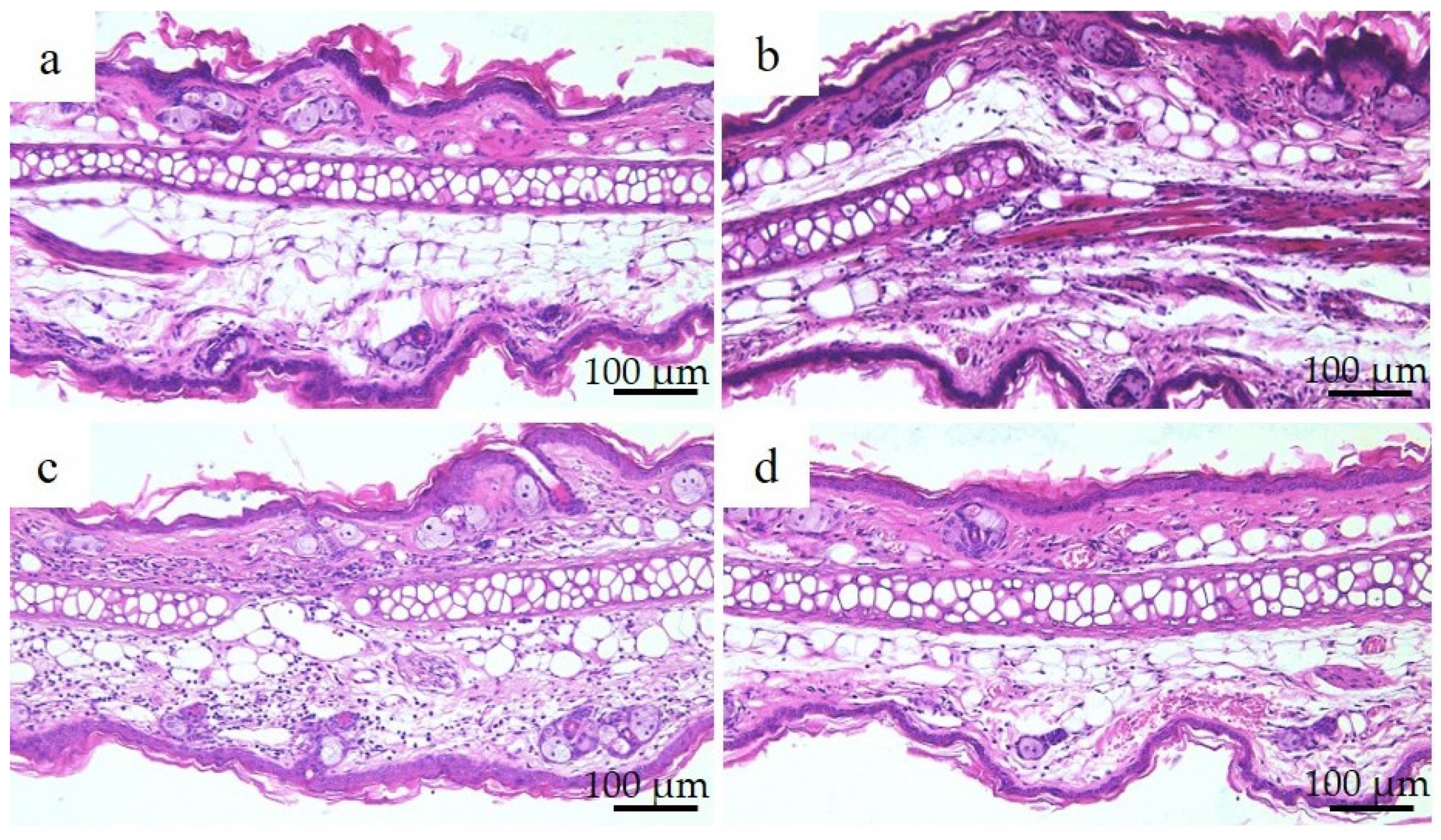 Materials 16 01834 g008