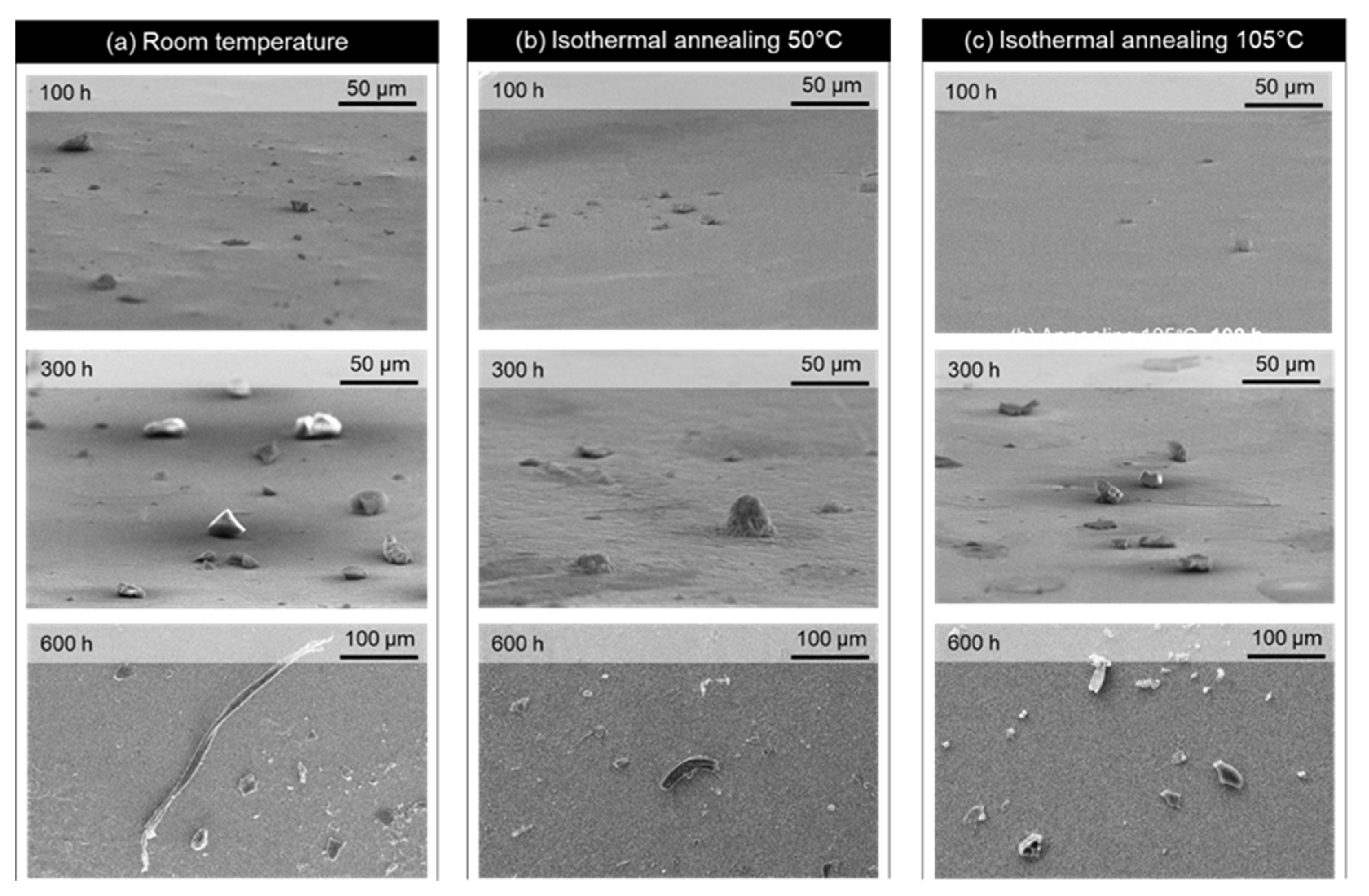 Materials 16 01852 g007 Materials 16 01852 g007