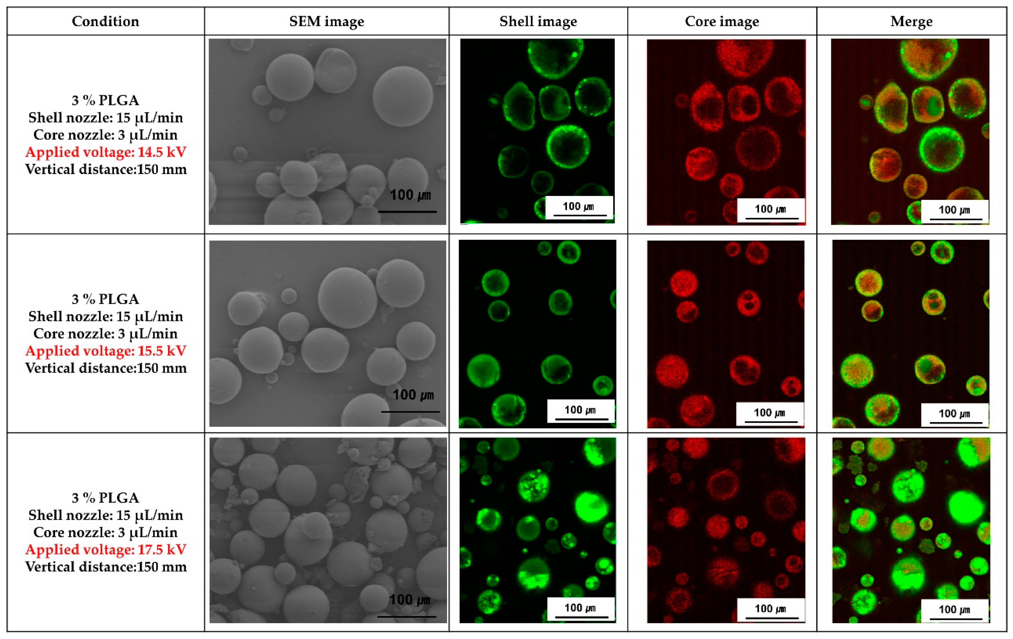 Materials 16 01885 g005