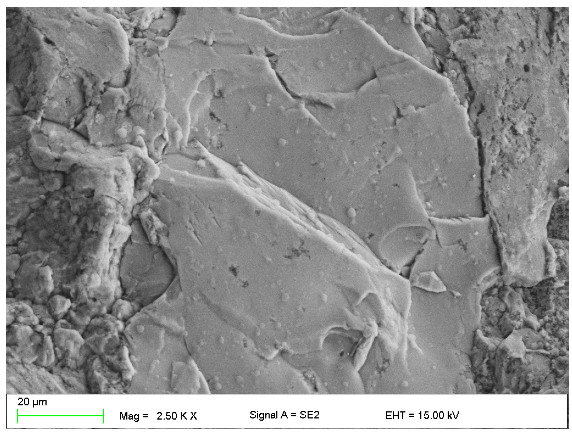 Materials 16 01915 g005