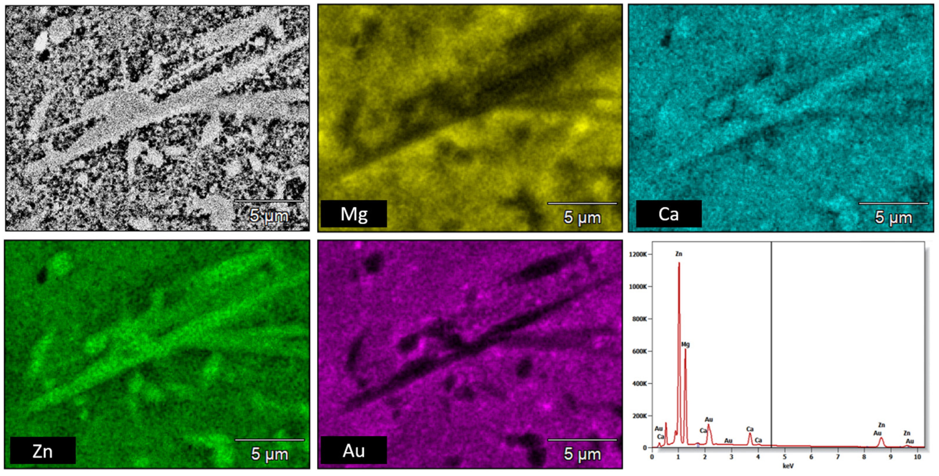 Materials 16 01915 g007