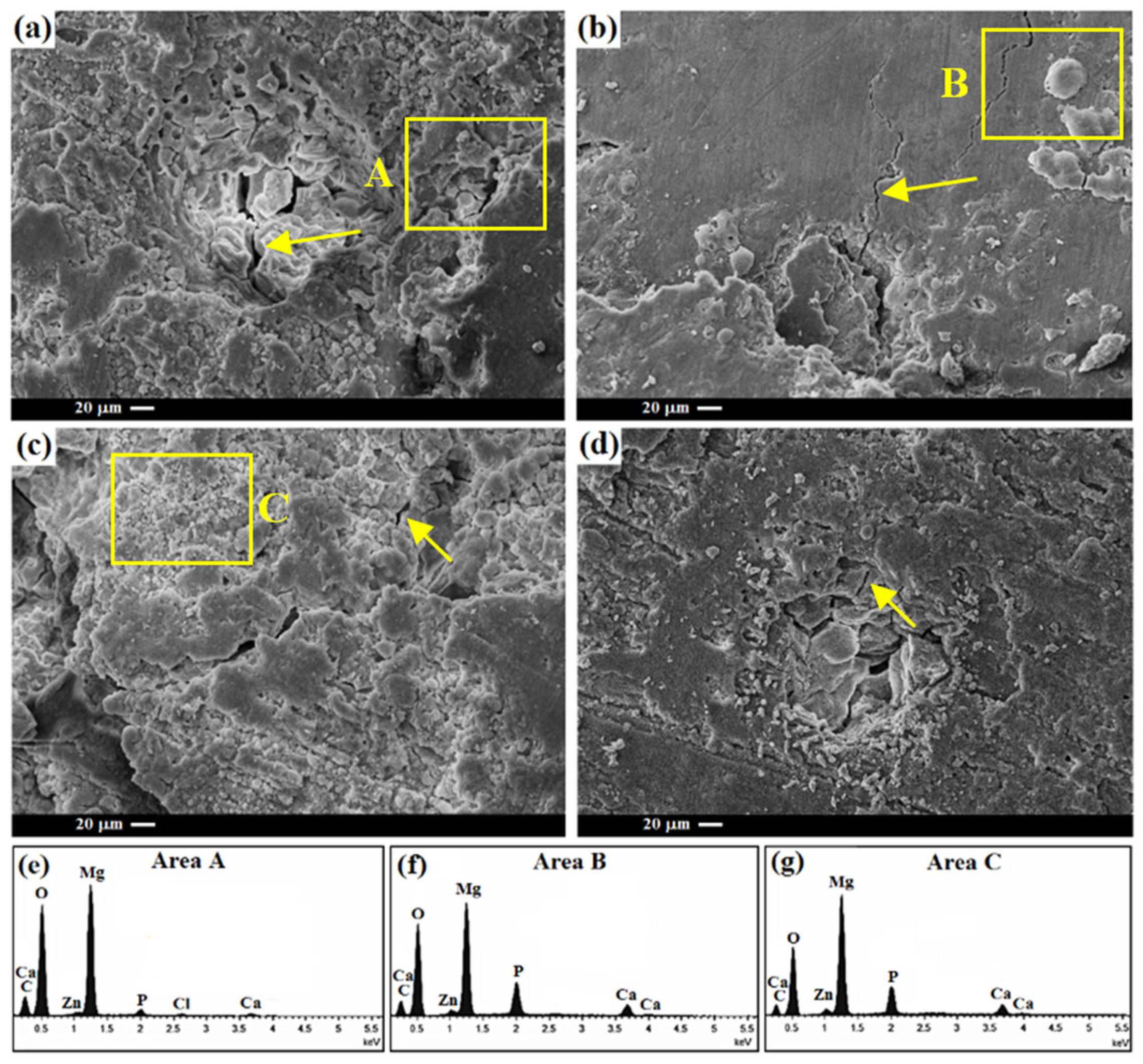 Materials 16 01919 g008 Materials 16 01919 g008