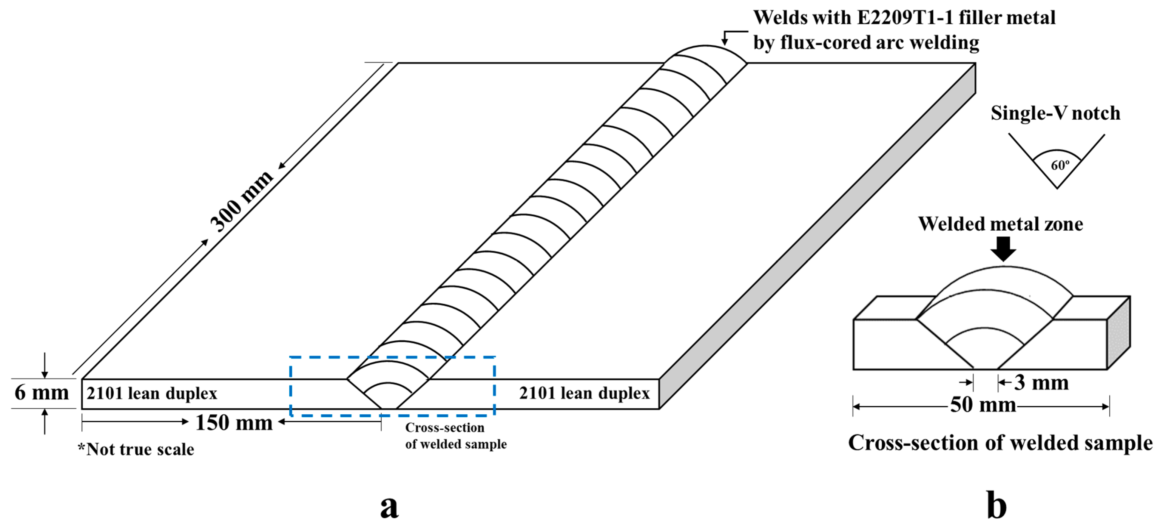 Materials 16 01921 g006