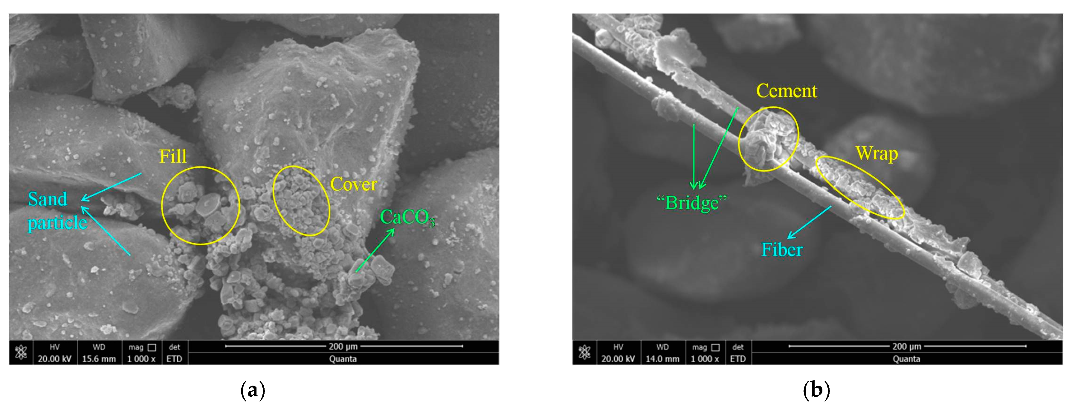 Materials 16 01949 g009a