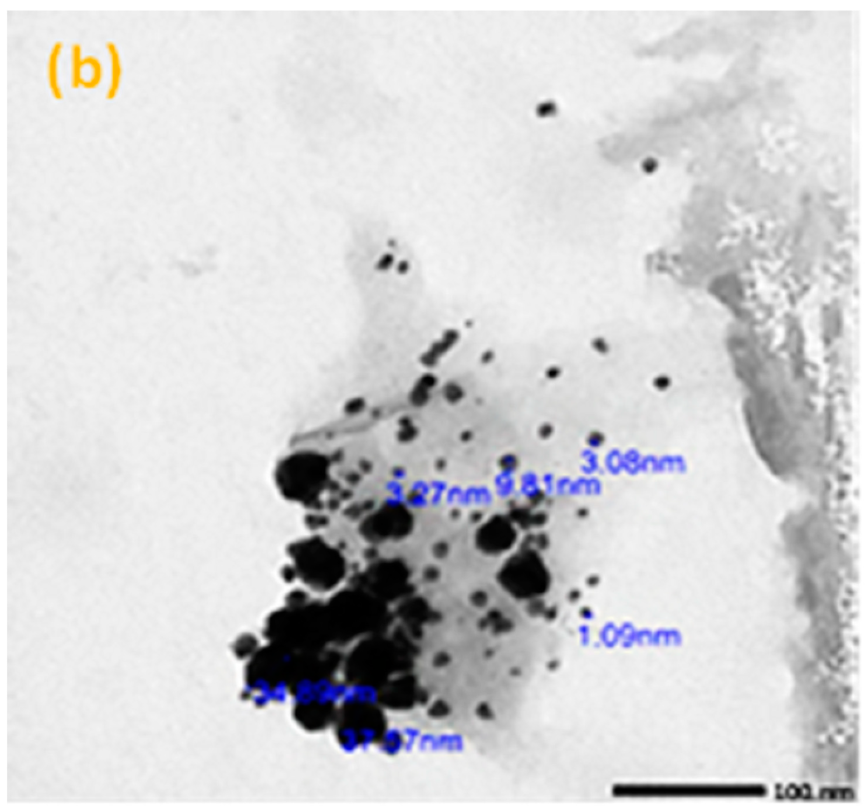 Materials 16 02056 g001b