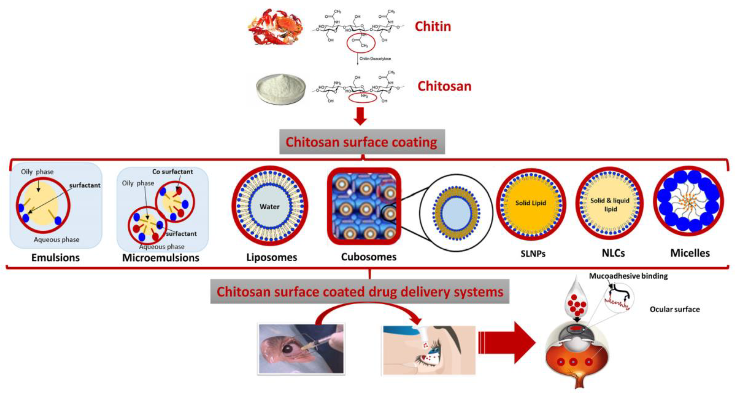 Materials 16 02073 g004