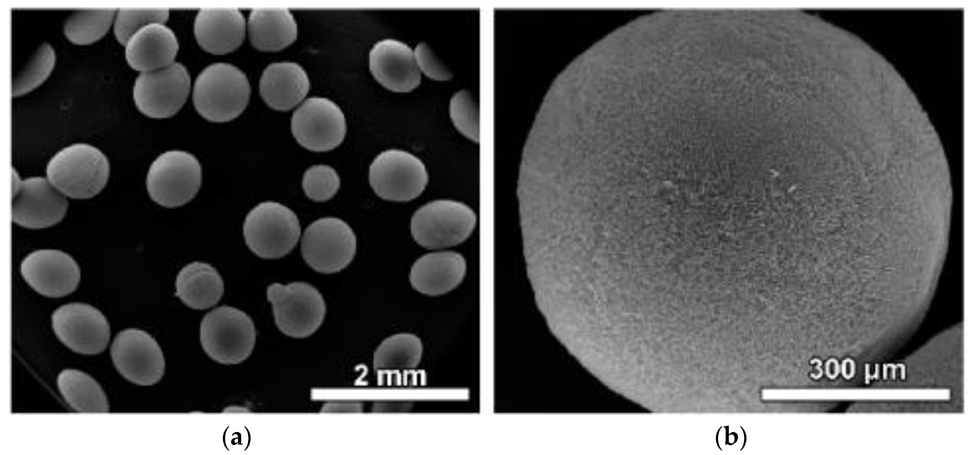 Materials 16 02073 g006