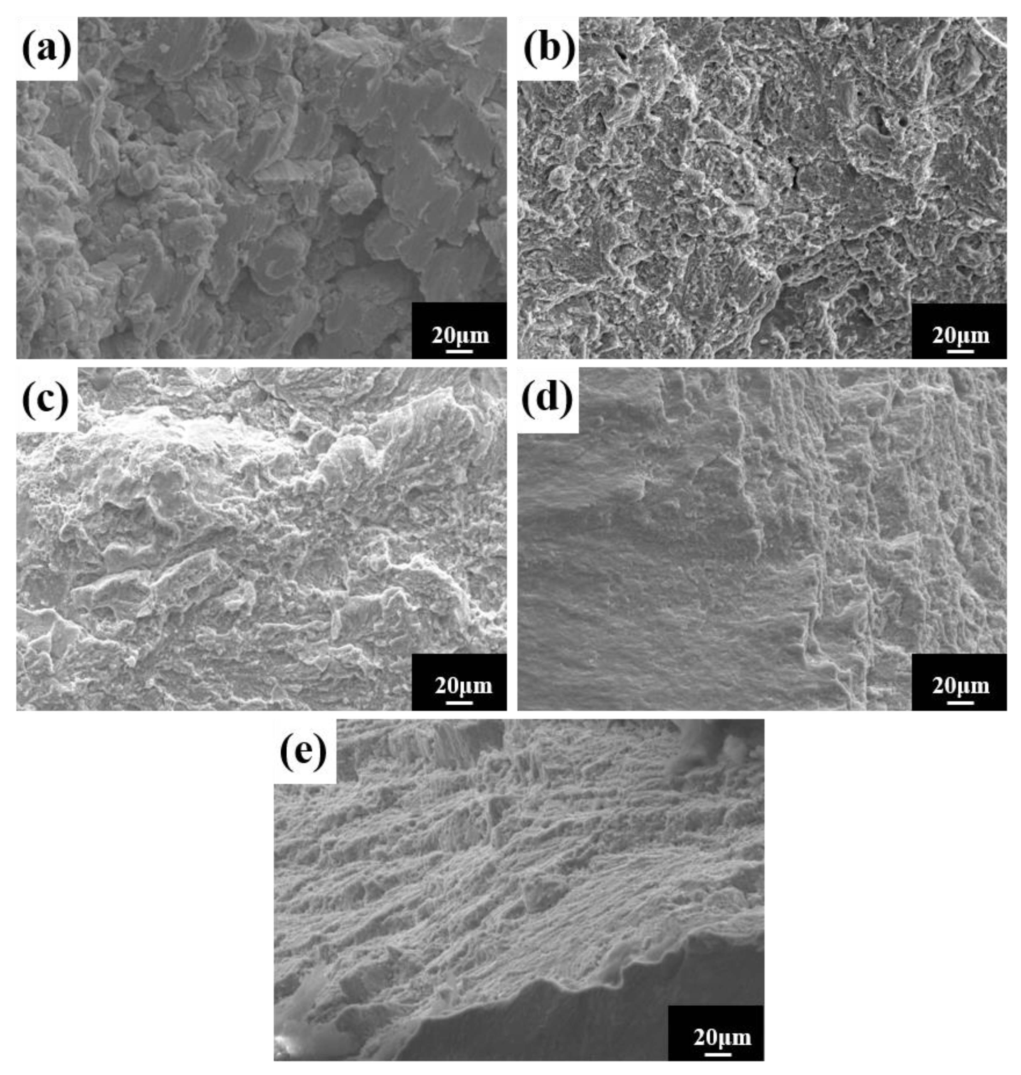 Materials 16 02082 g015 Materials 16 02082 g015