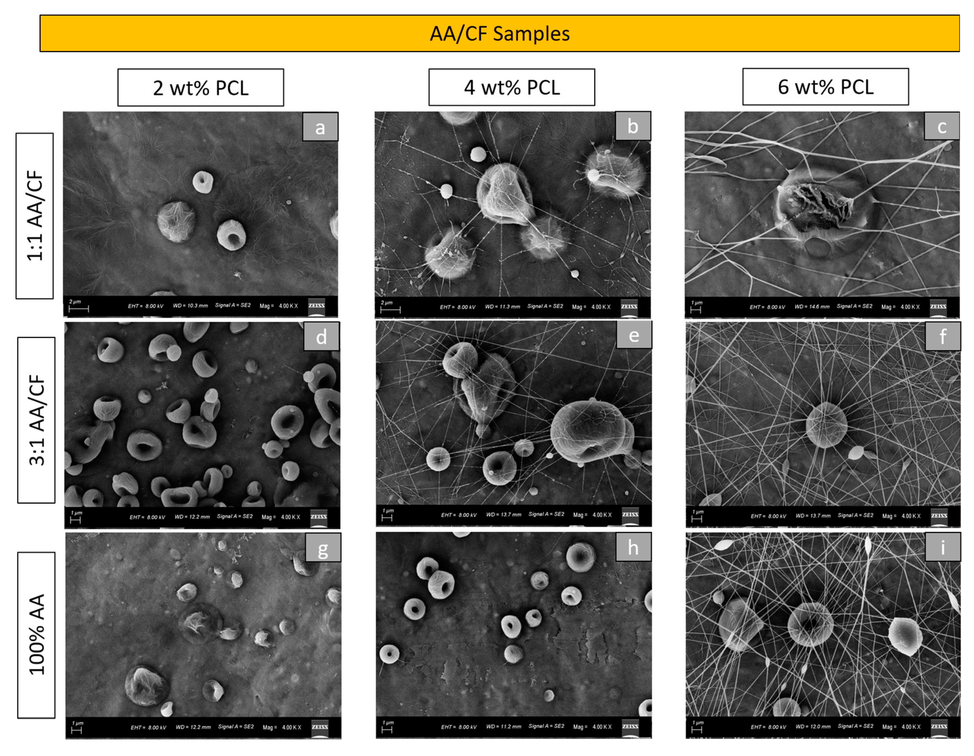 Materials 16 02122 g002