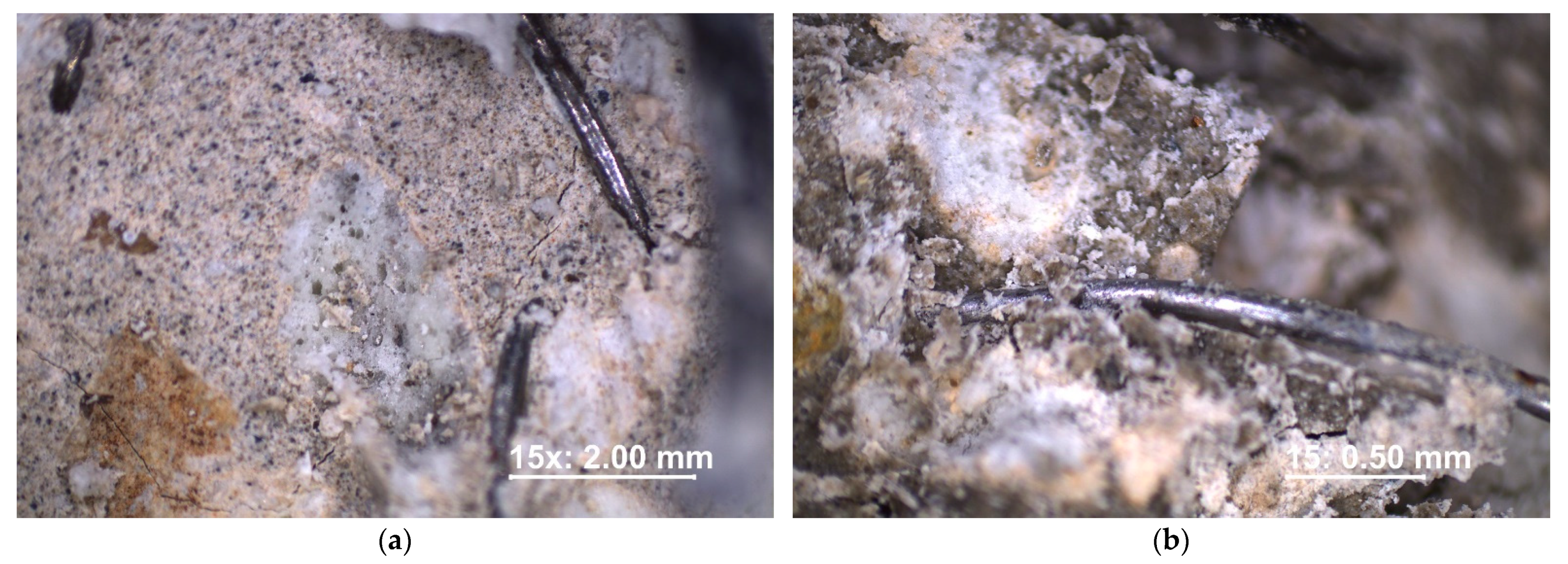 Materials 16 02124 g013