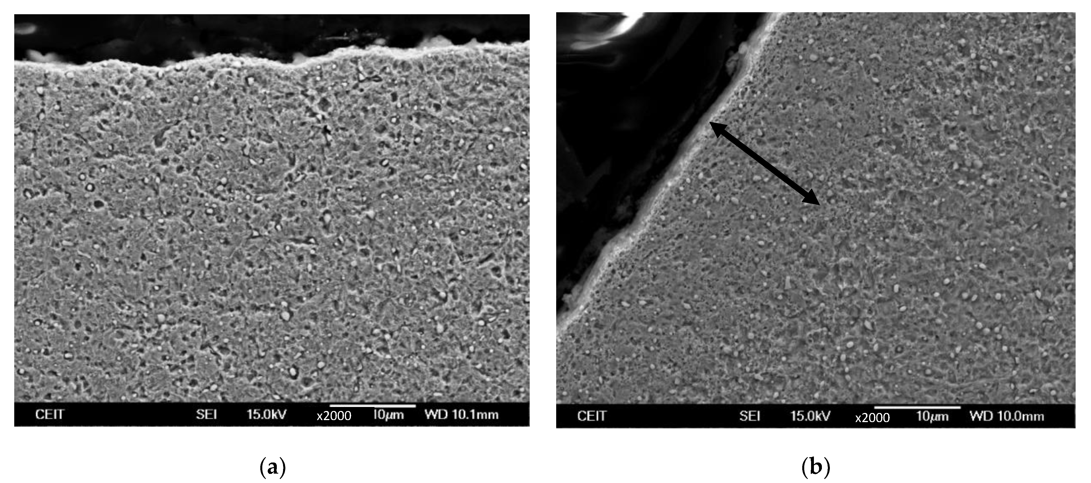 Materials 16 02127 g005