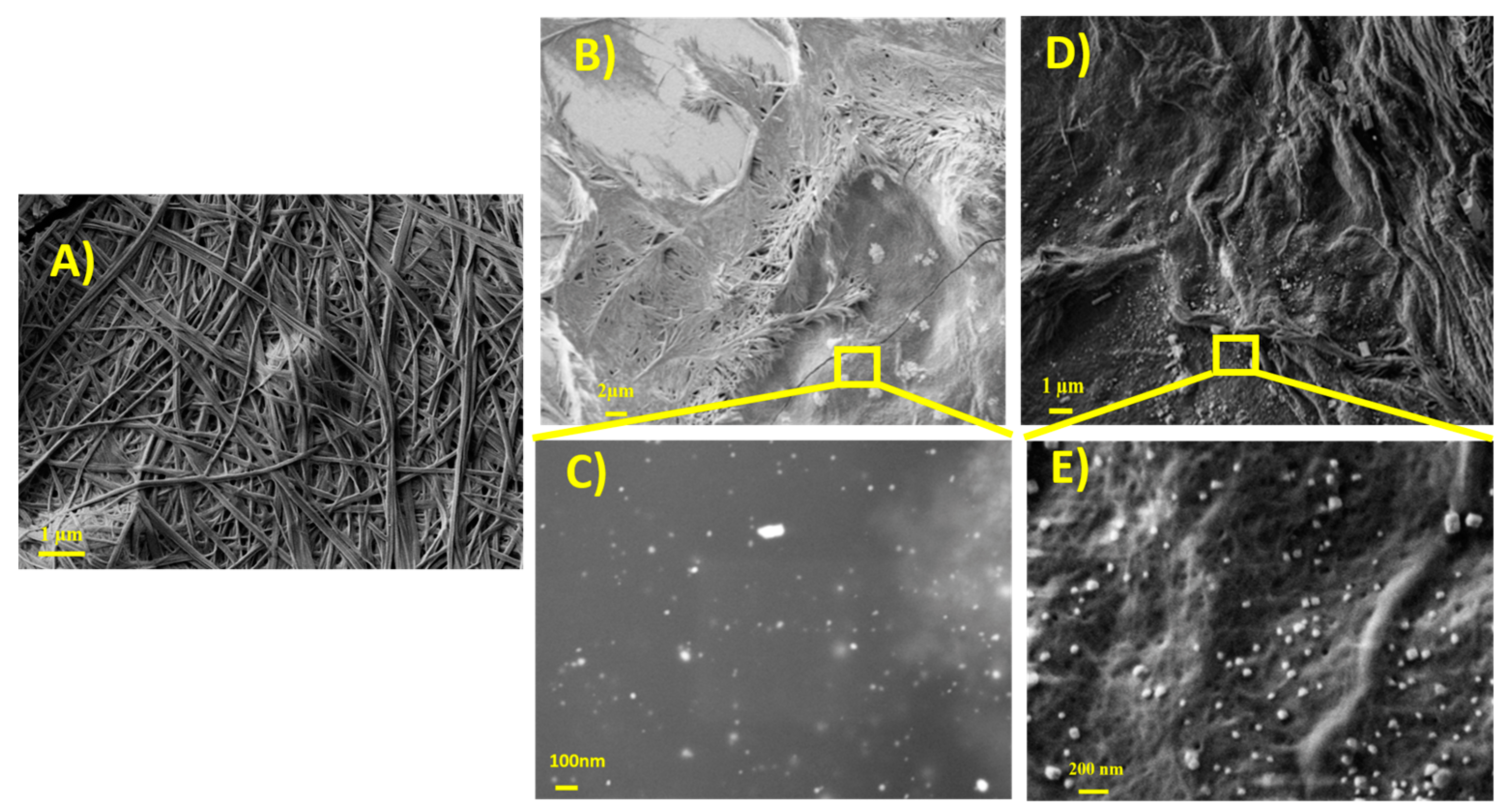 Materials 16 02134 g004 Materials 16 02134 g004