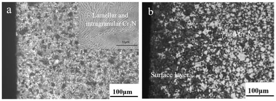 Materials 16 02135 g003a Materials 16 02135 g003a
