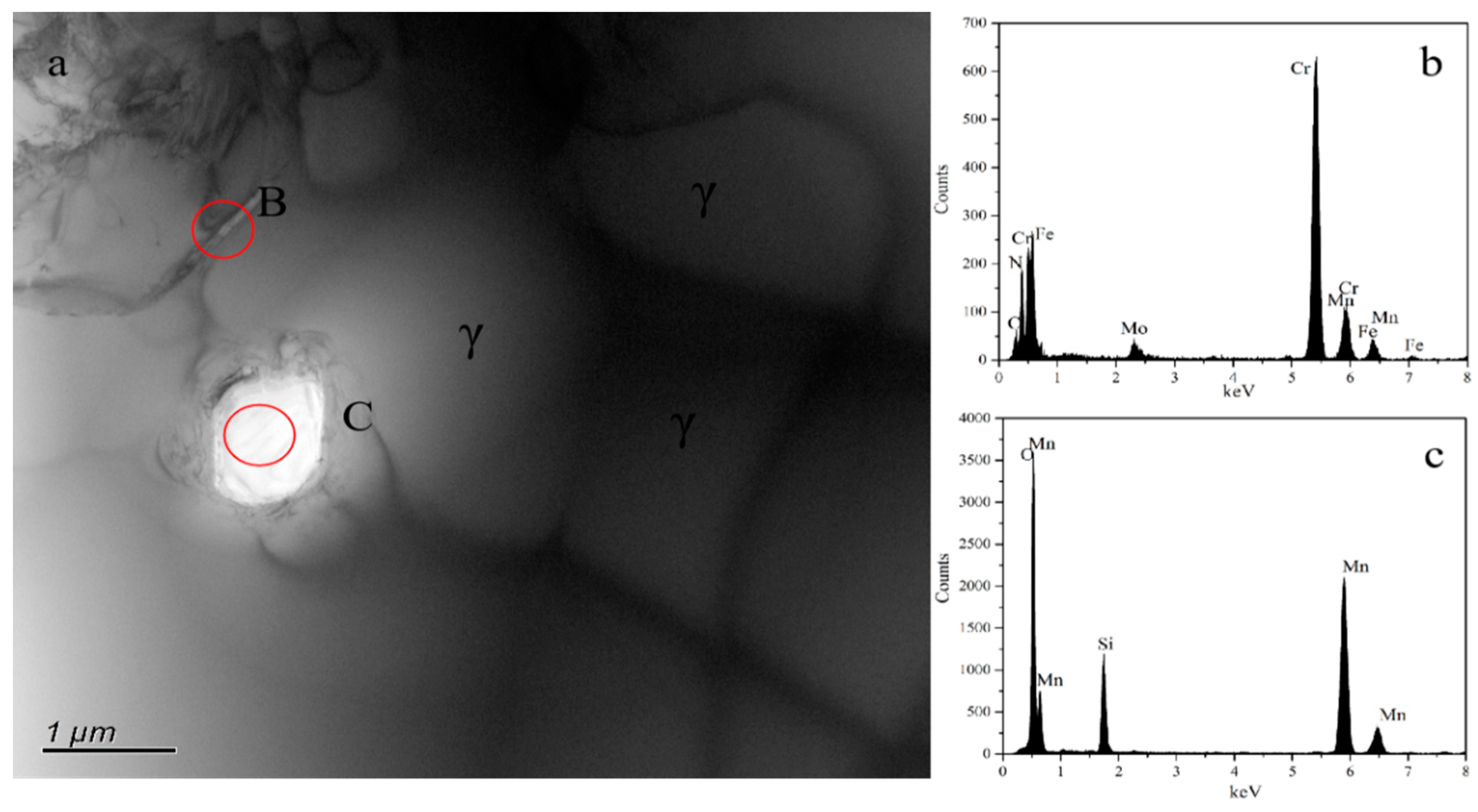 Materials 16 02135 g005 Materials 16 02135 g005