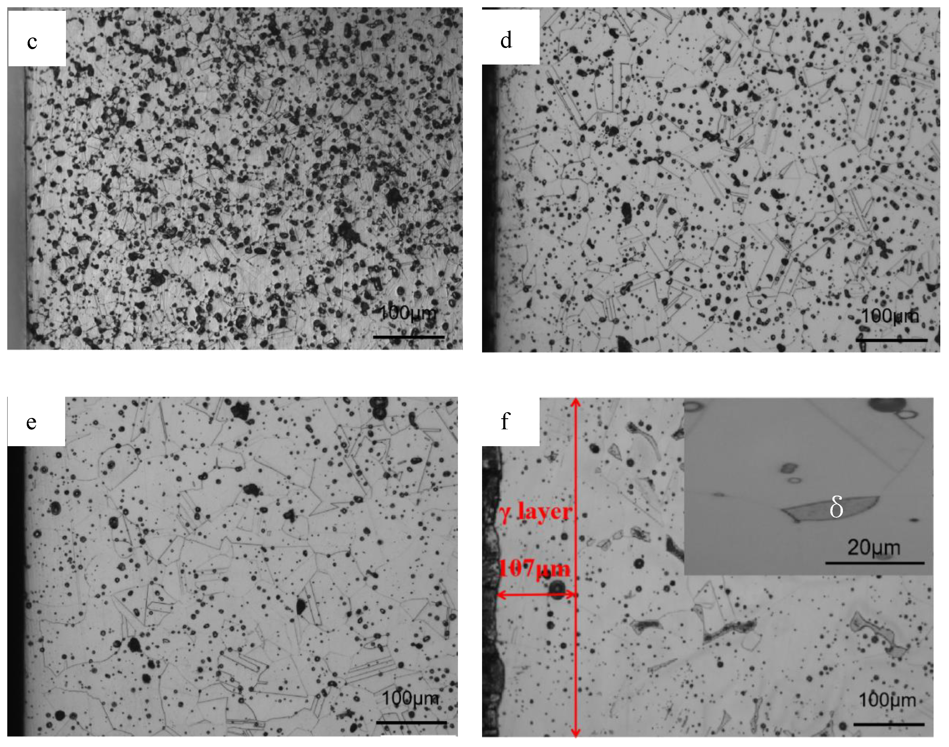 Materials 16 02135 g012b Materials 16 02135 g012b