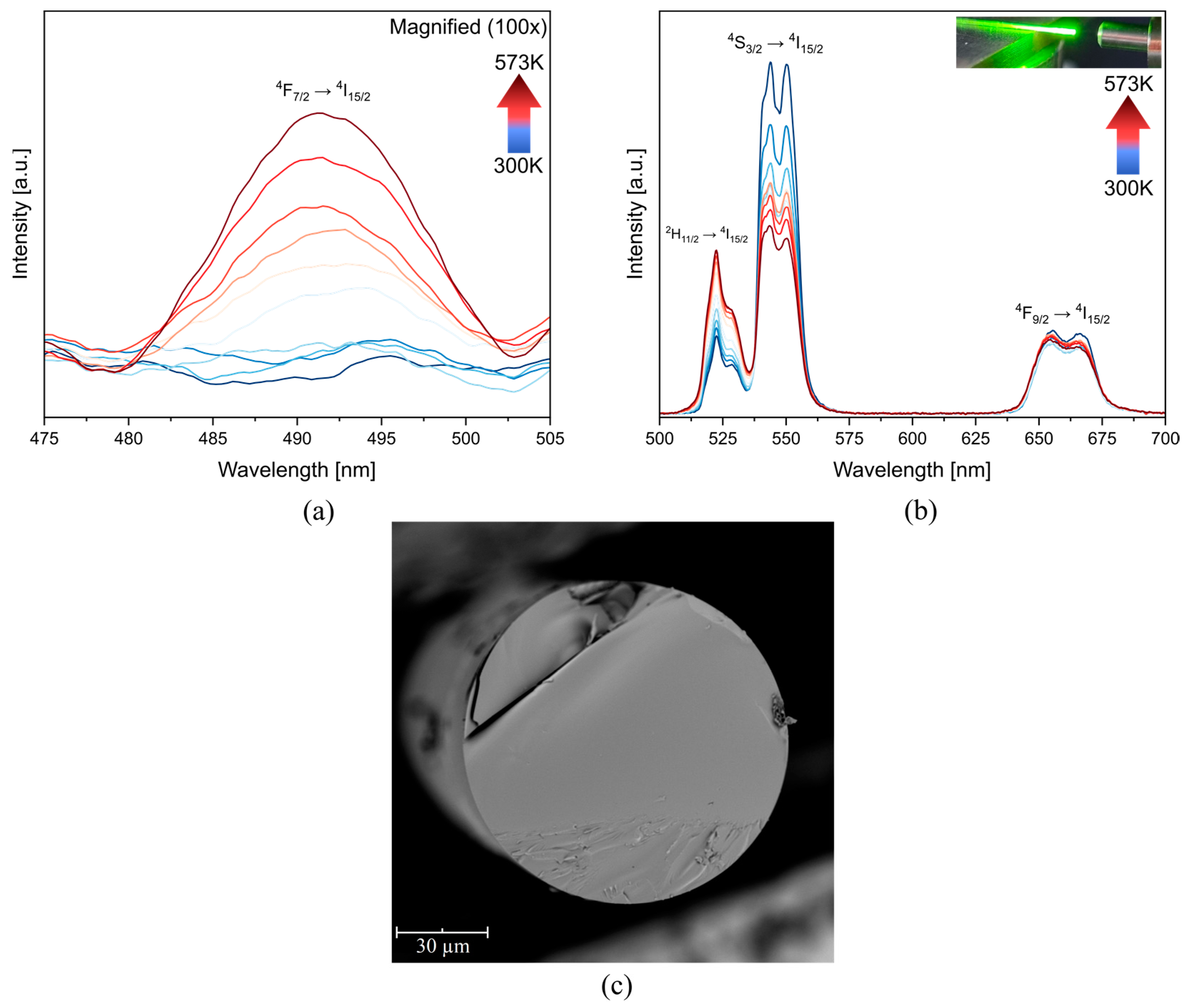 Materials 16 02139 g005