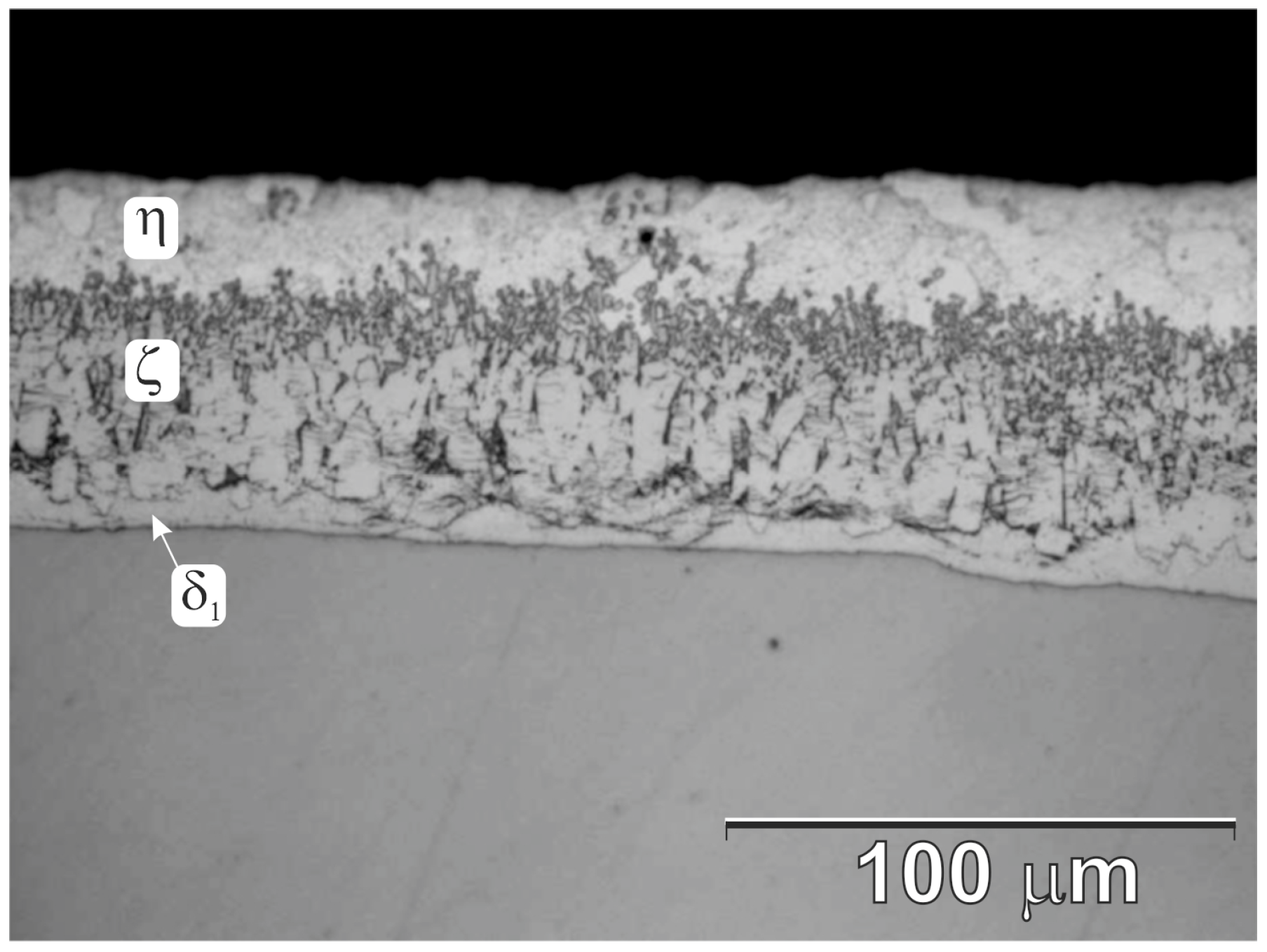 Materials 16 02162 g005 Materials 16 02162 g005