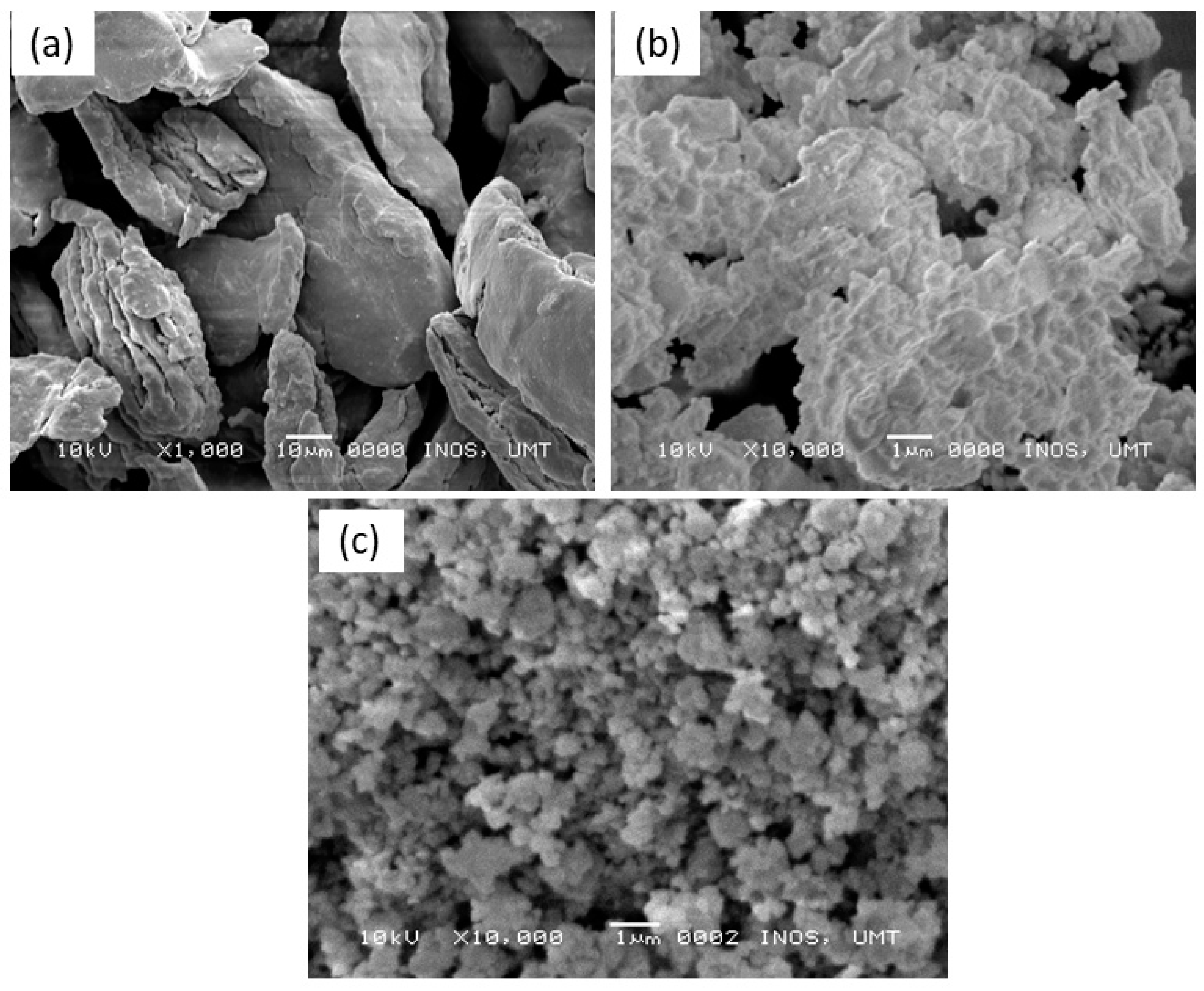 Materials 16 02176 g007 Materials 16 02176 g007