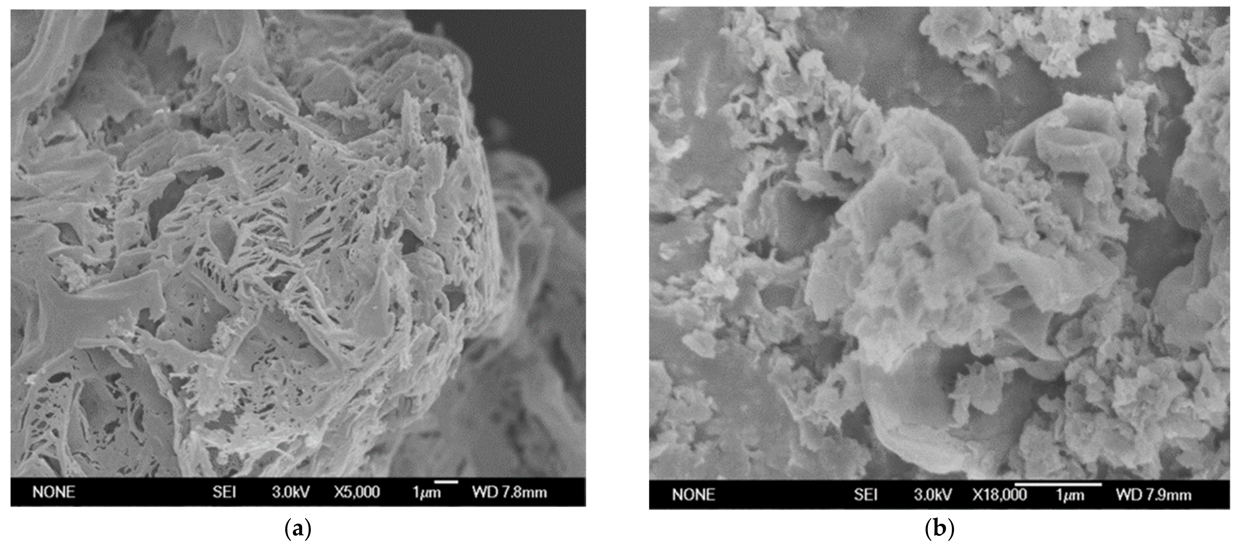 Materials 16 02177 g006 Materials 16 02177 g006