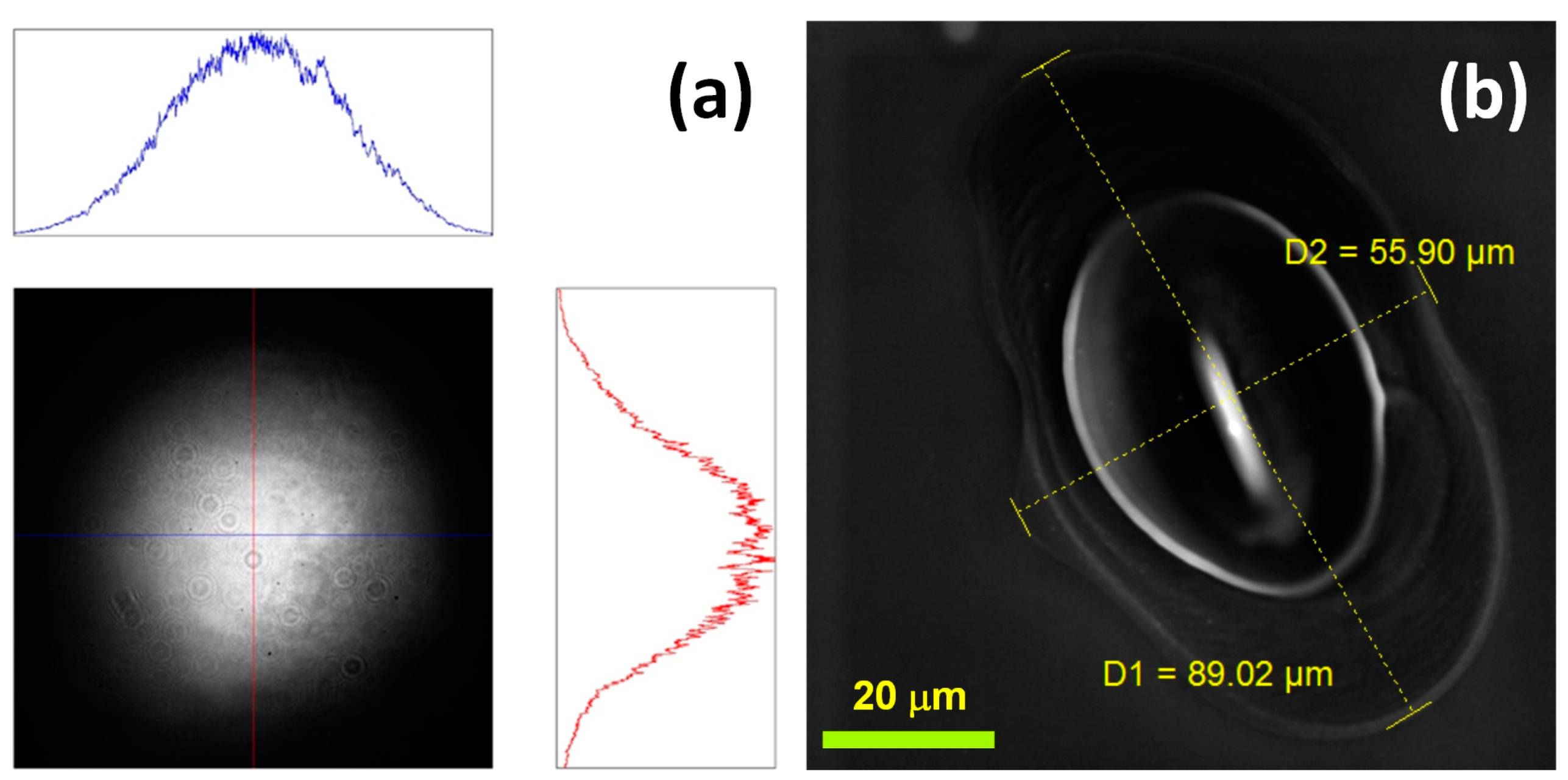 Materials 16 02184 g002