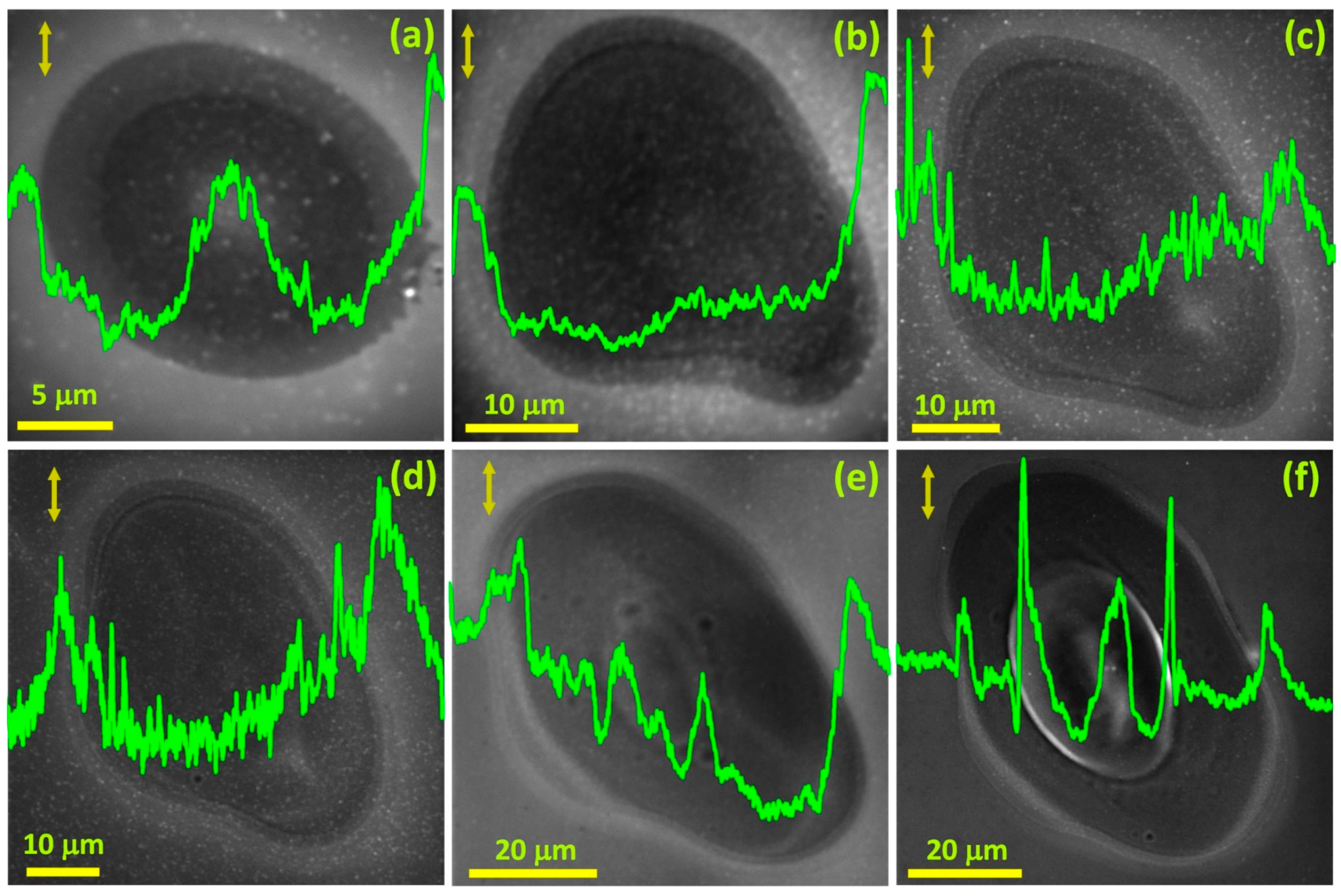 Materials 16 02184 g004