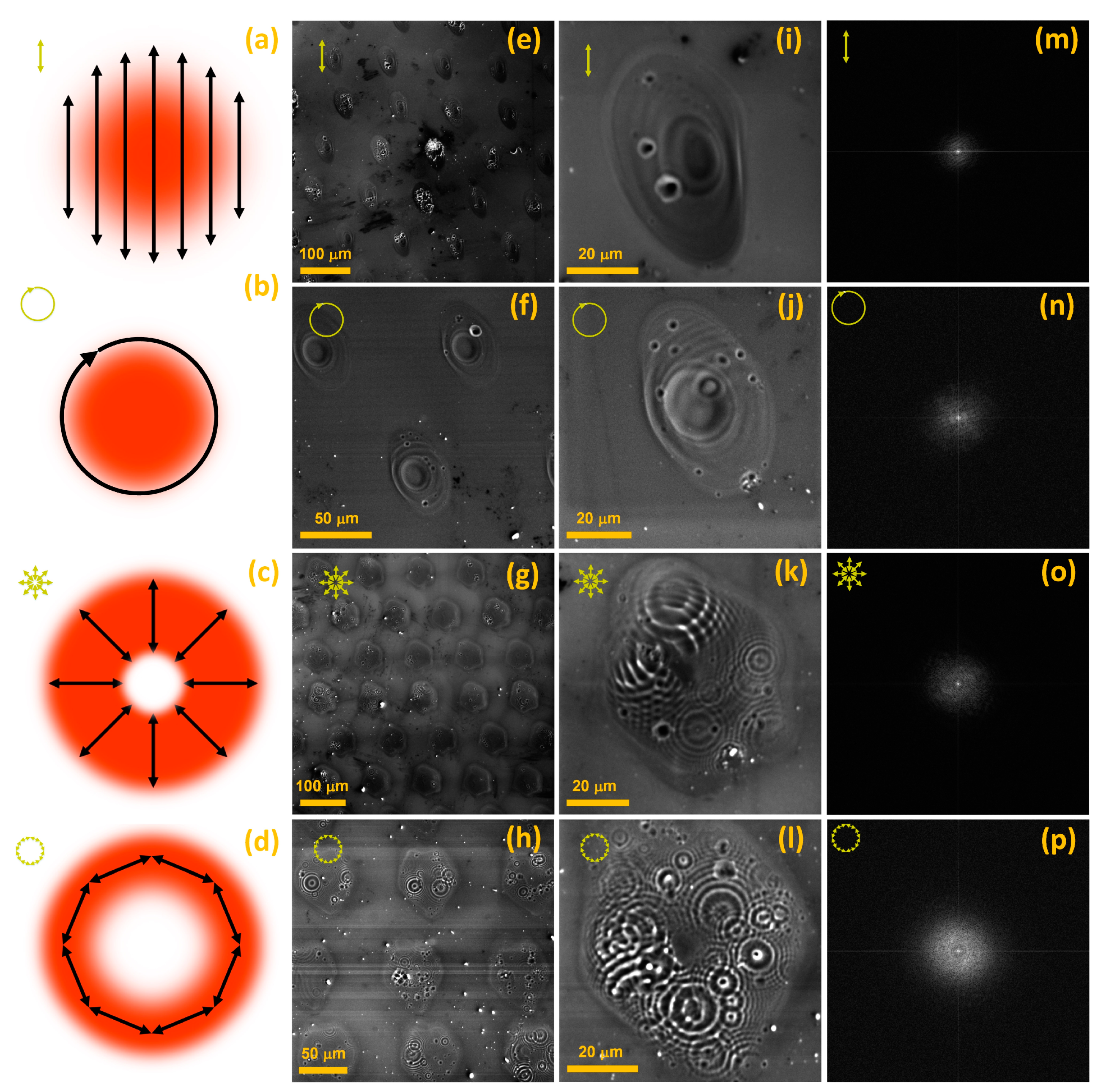 Materials 16 02184 g005