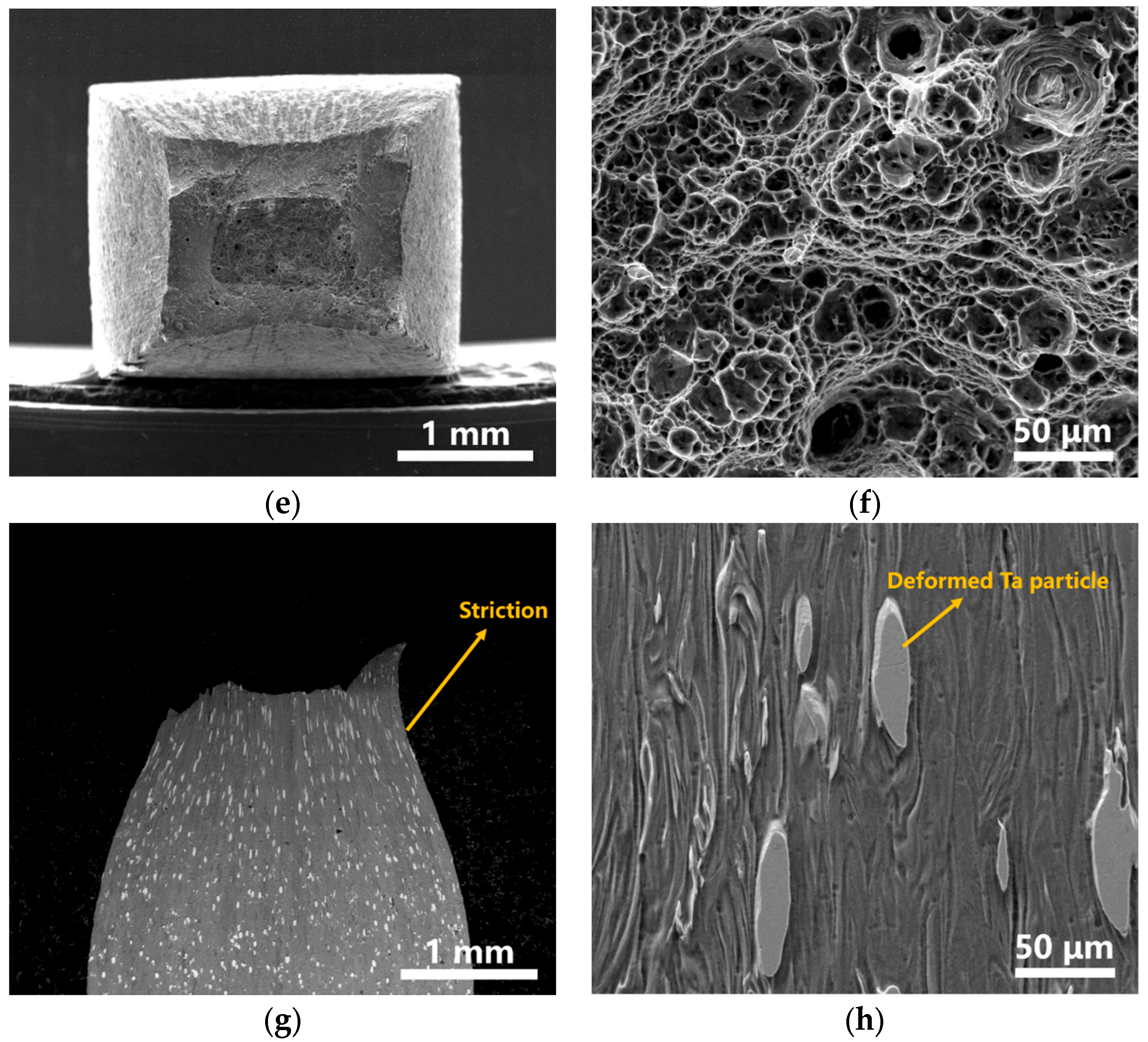 Materials 16 02208 g014b