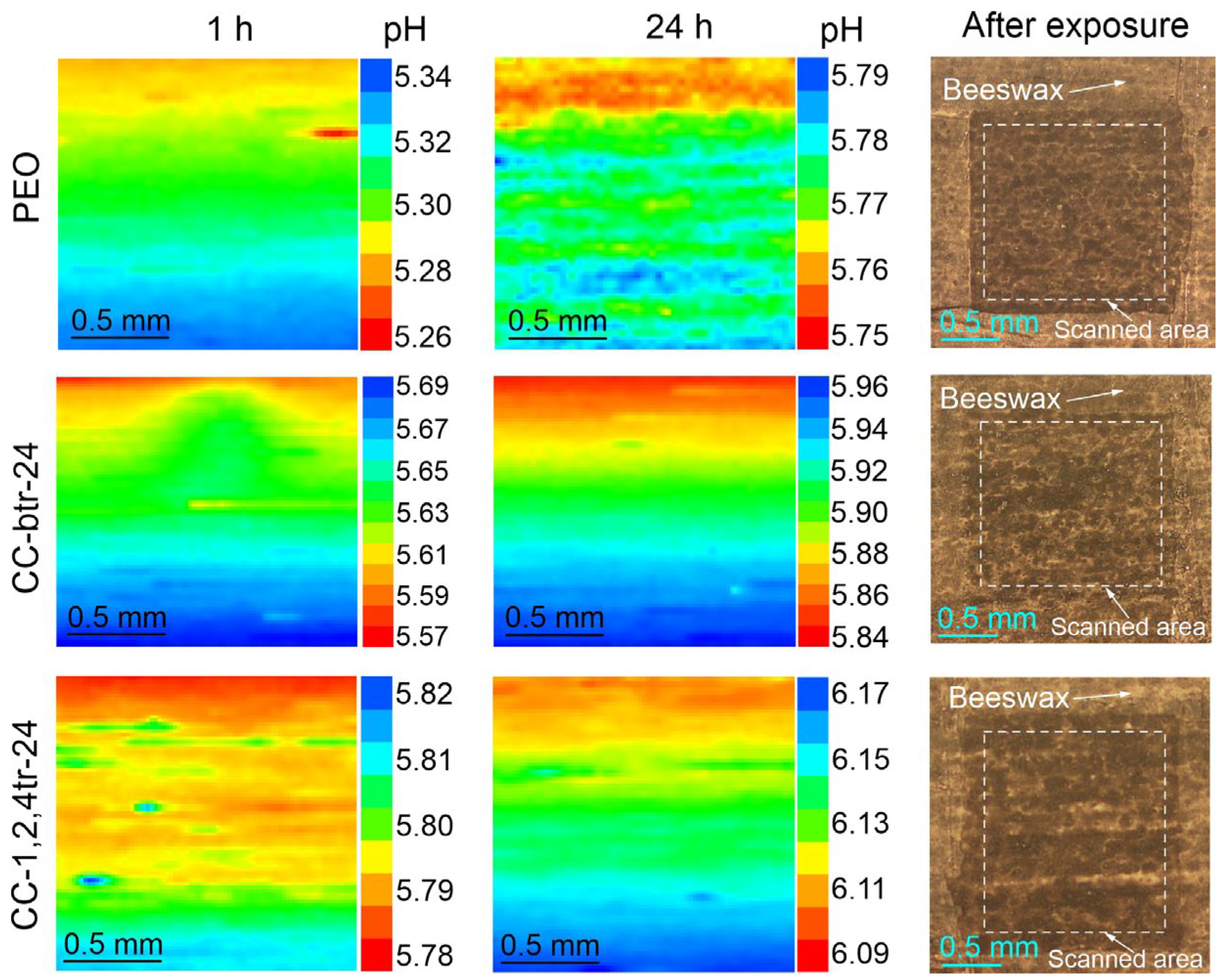 Materials 16 02215 g013 Materials 16 02215 g013