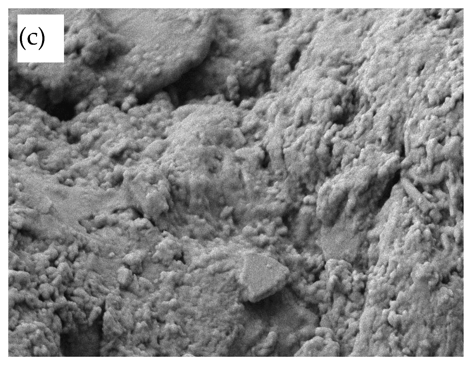 Materials 16 02230 g009b Materials 16 02230 g009b