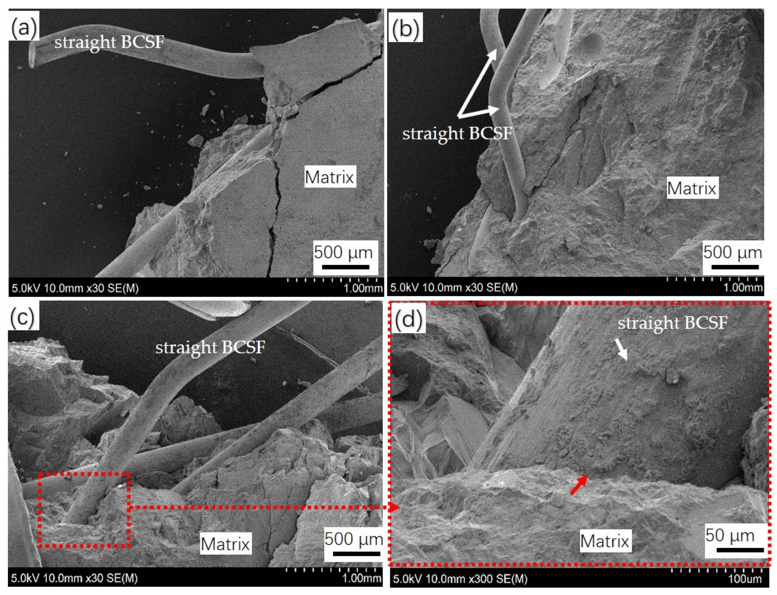 Materials 16 02257 g014 Materials 16 02257 g014