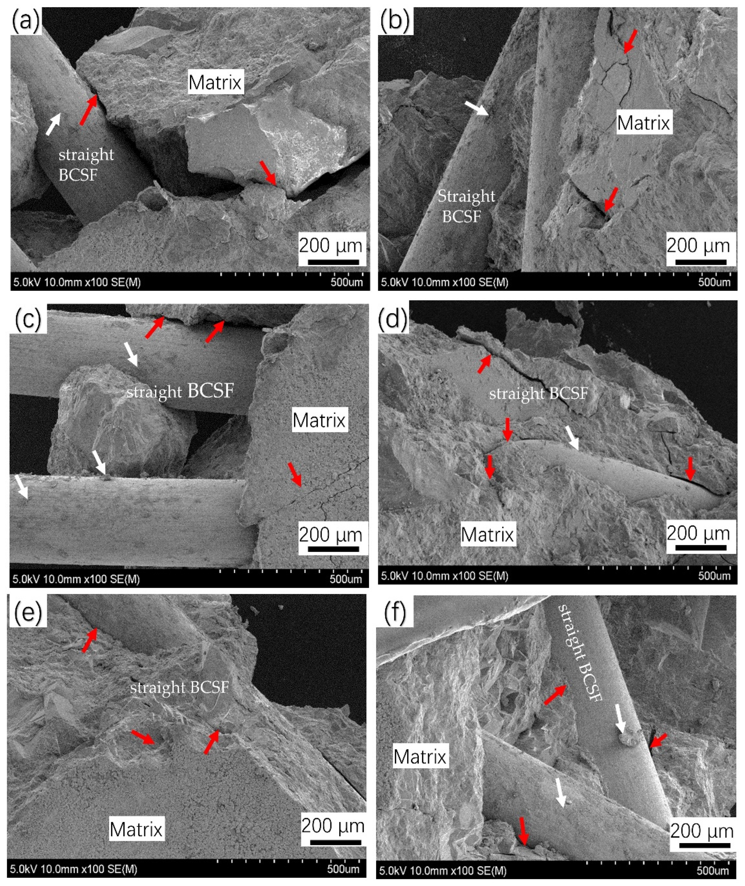 Materials 16 02257 g015 Materials 16 02257 g015