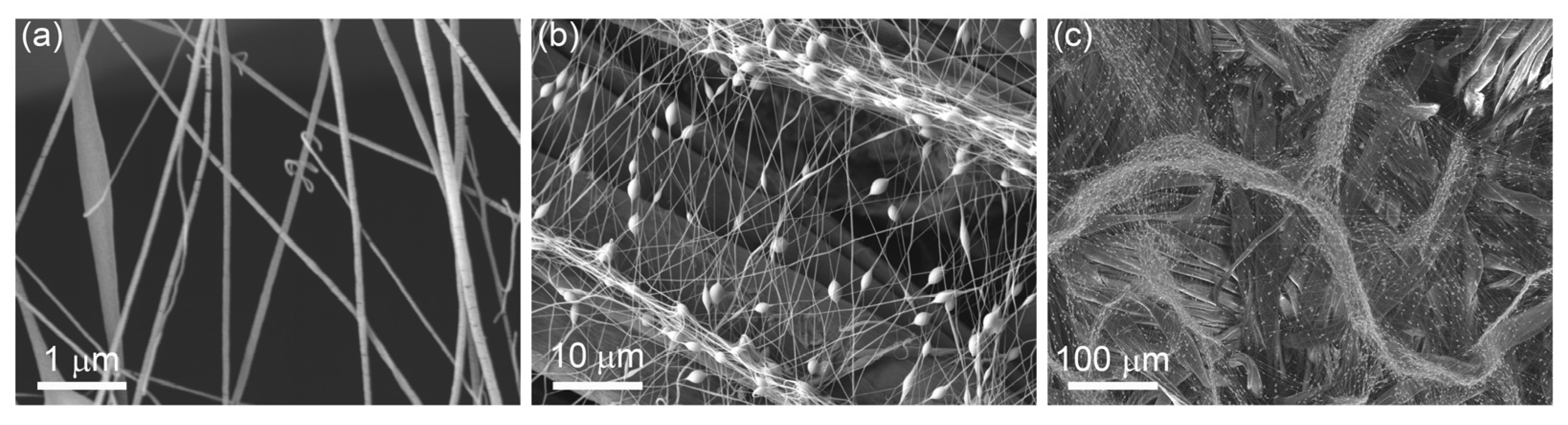 Materials 16 02314 g004