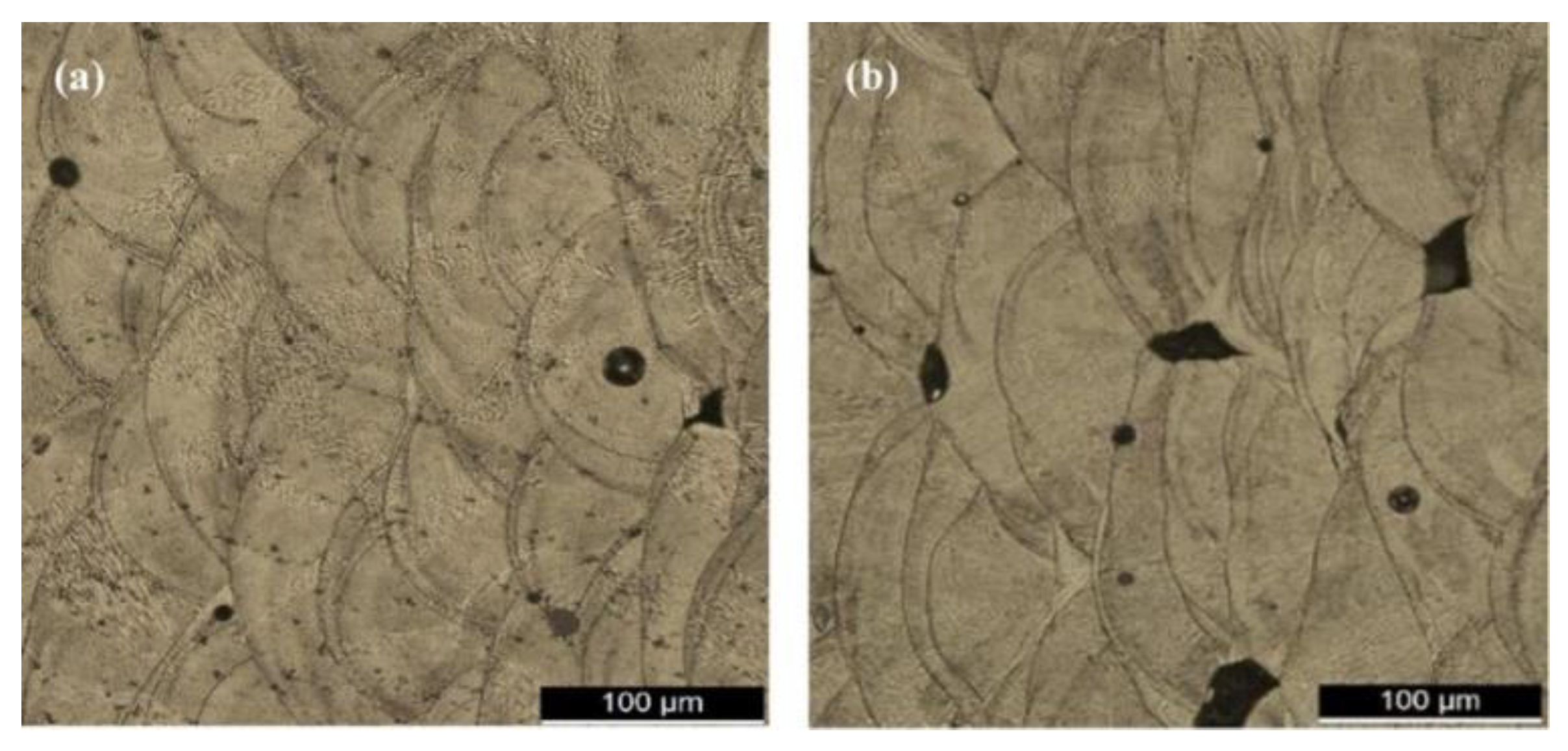 Materials 16 02325 g007